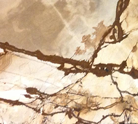 Brown and cream-colored marble surface with dark, branching veins.