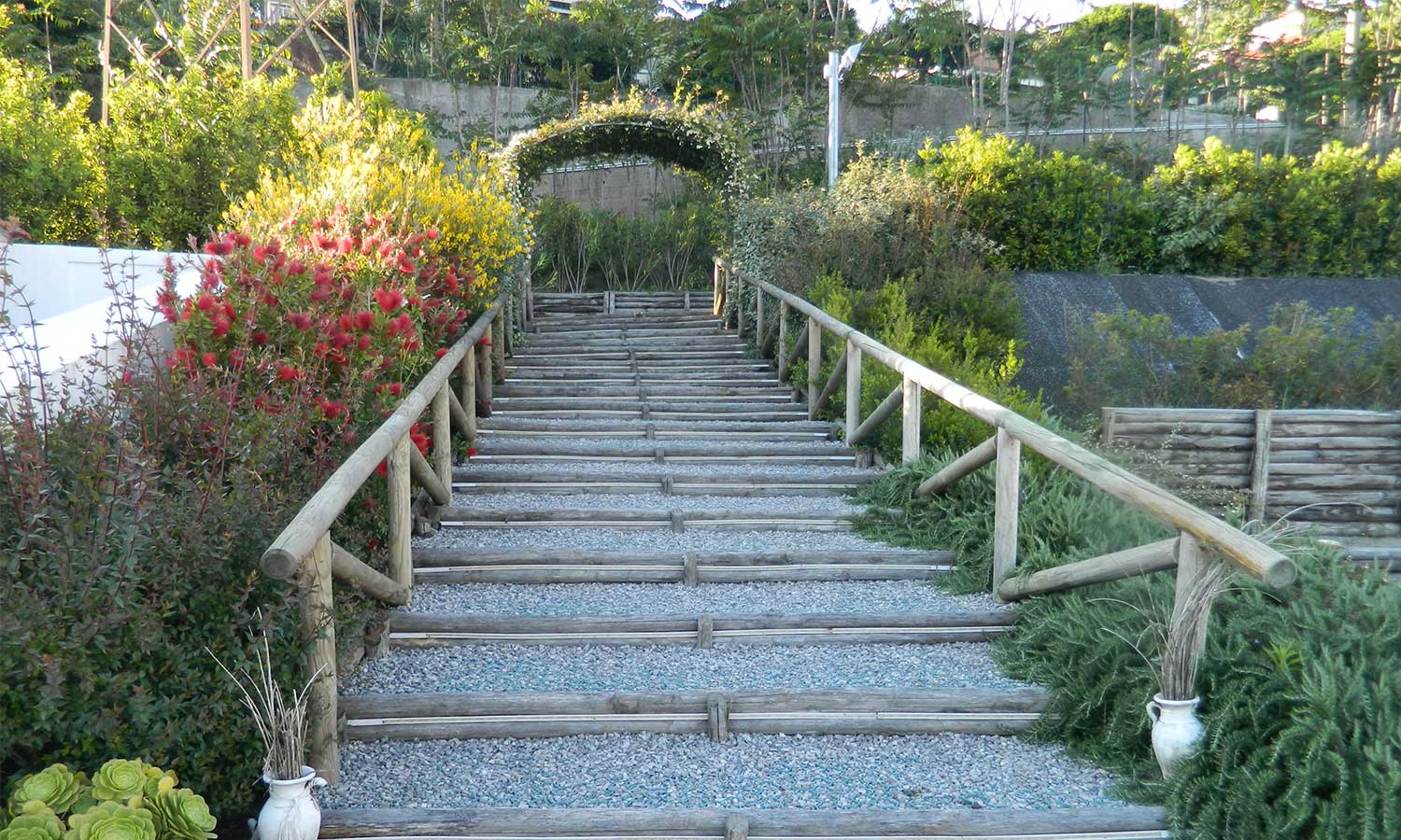 Scale in legno nella natura