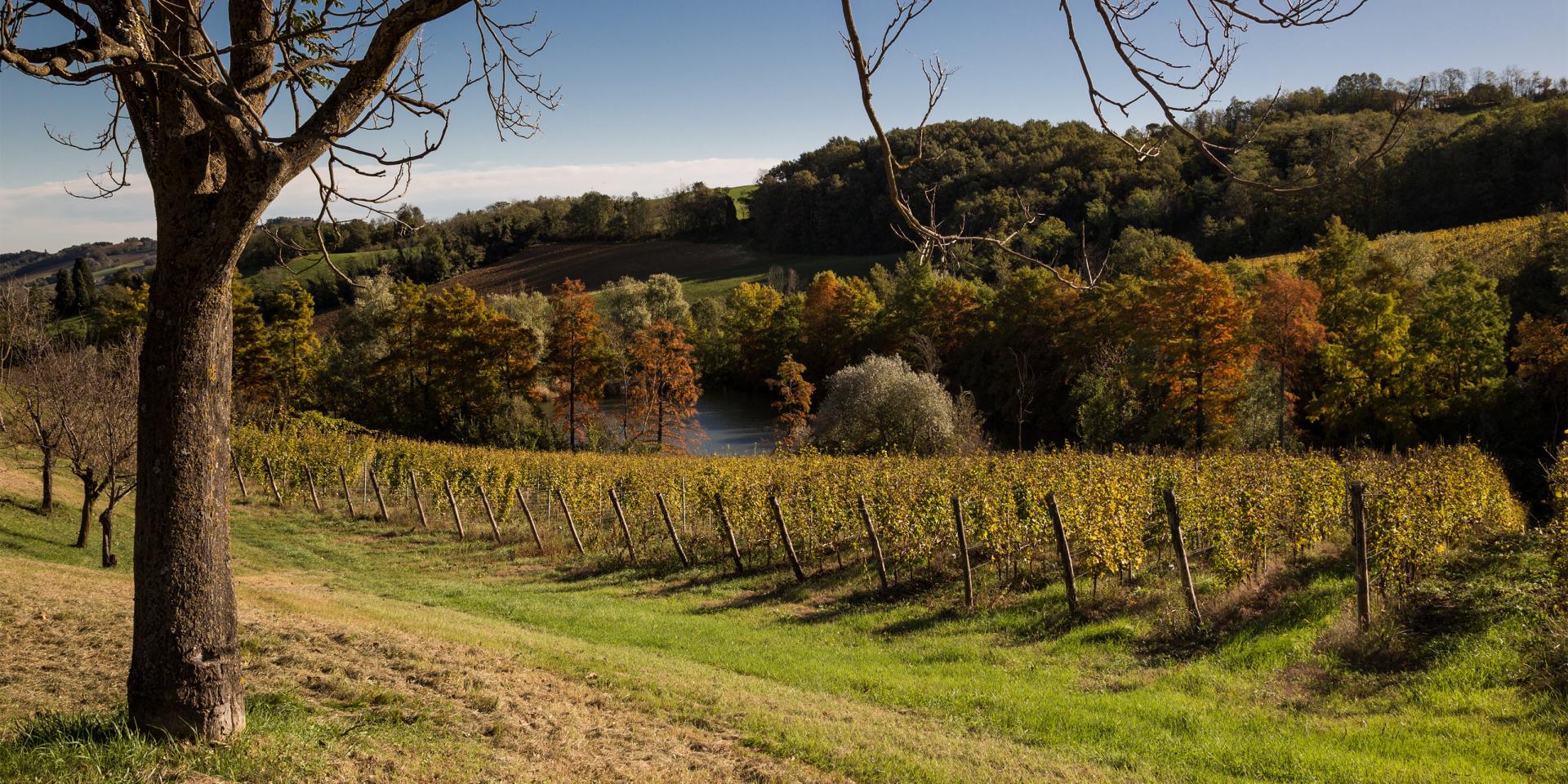 Paesaggio dell'hotel