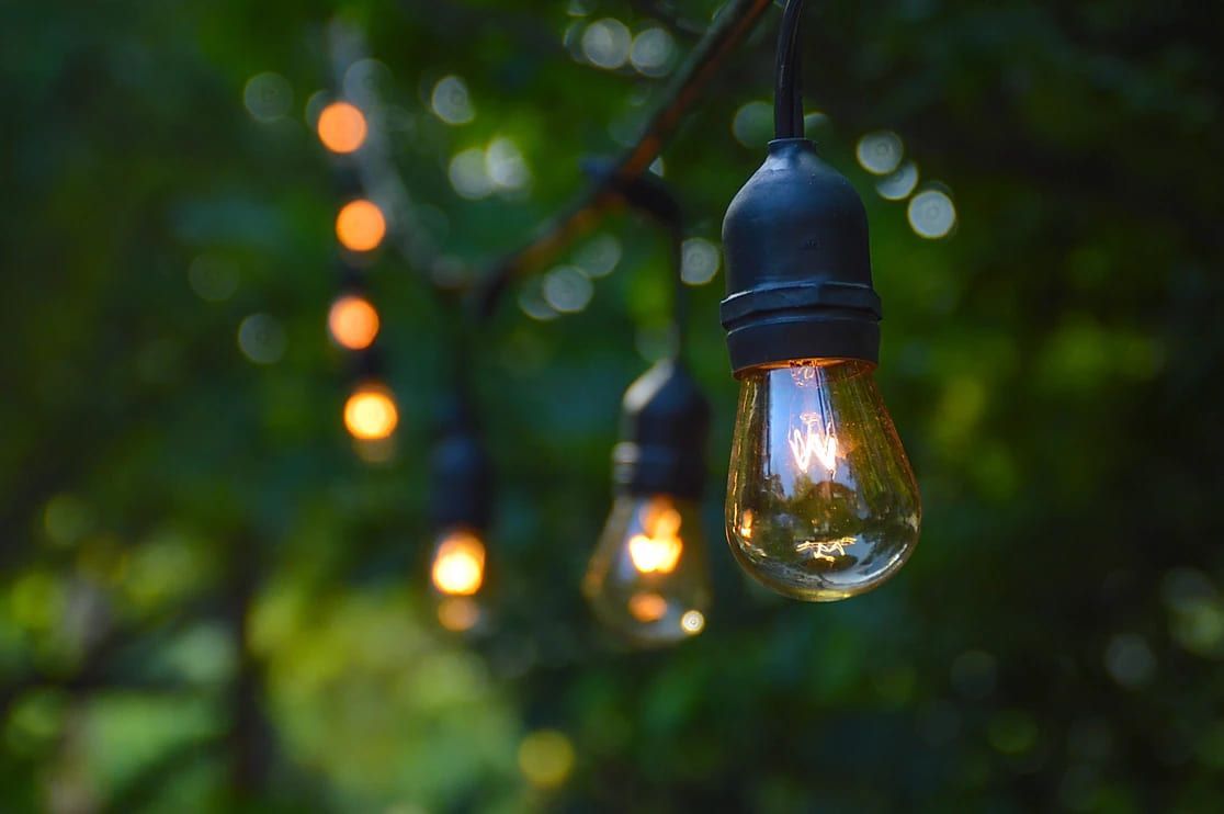 A string of light bulbs hanging from a tree.