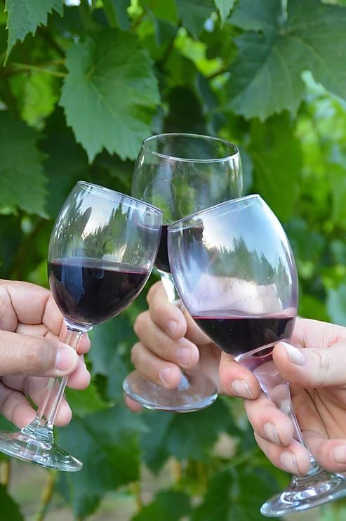 Three people are toasting with wine glasses in front of a vineyard.
