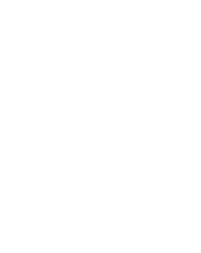 LOGO Soins Pura Vida