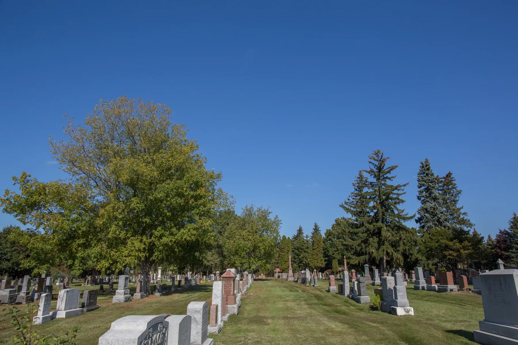 section-image