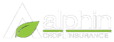 Alphin Insurance