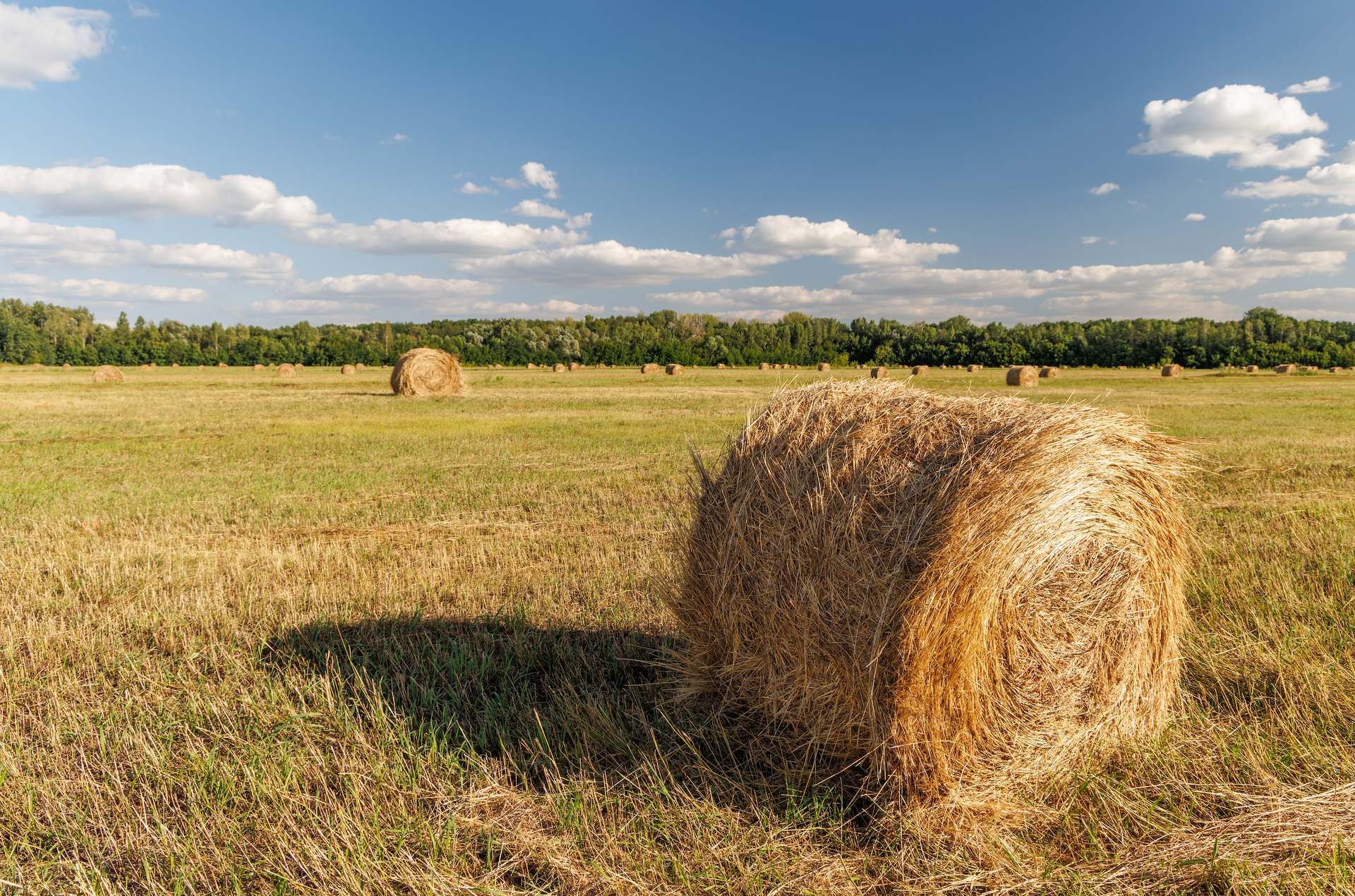 Red barn and silo on a farm in a valley with a large mountain, trees, and bright blue sky with white clouds.