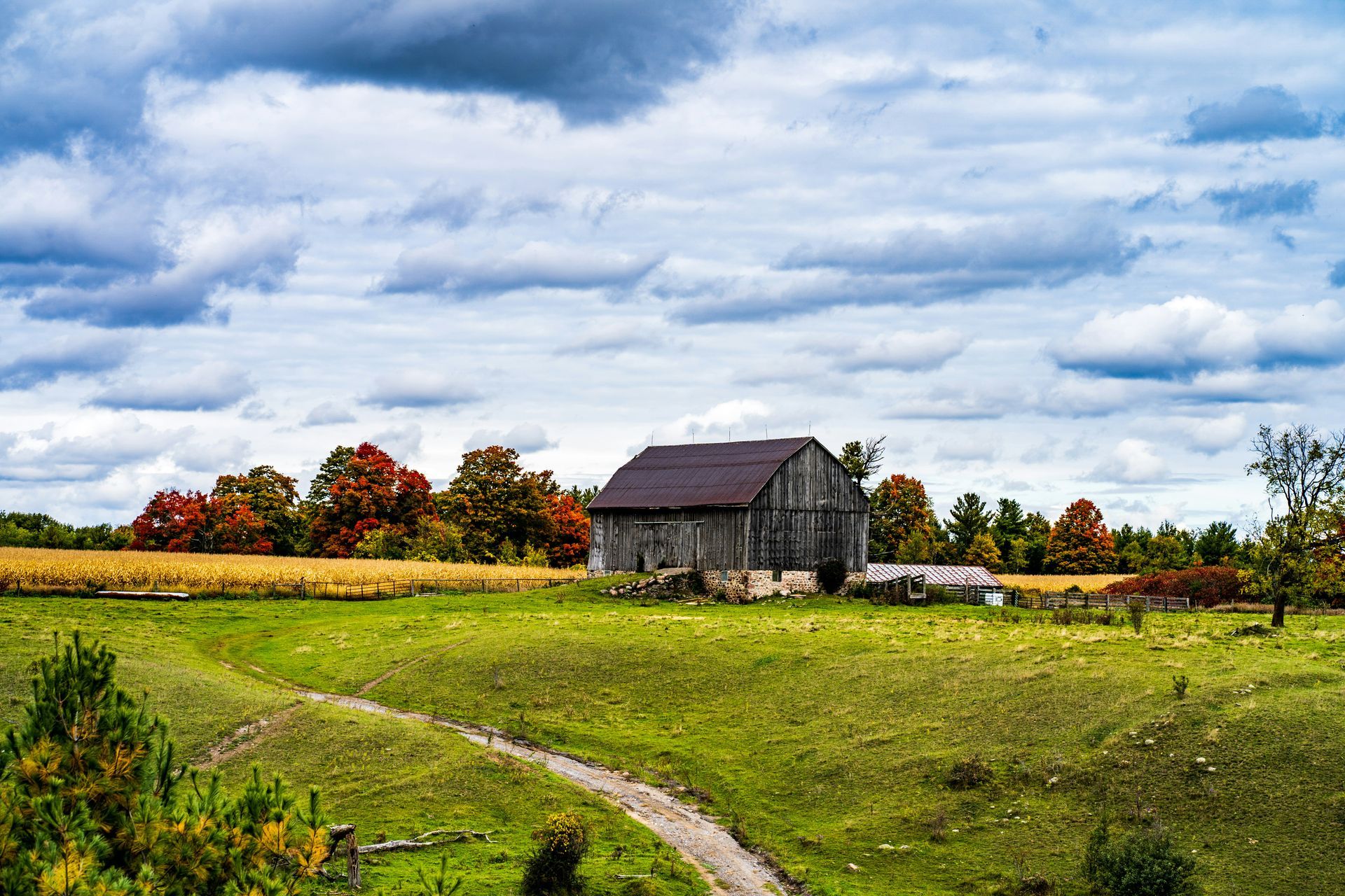 Old weathered barn in a grassy field, with fall foliage and a cloudy sky above.