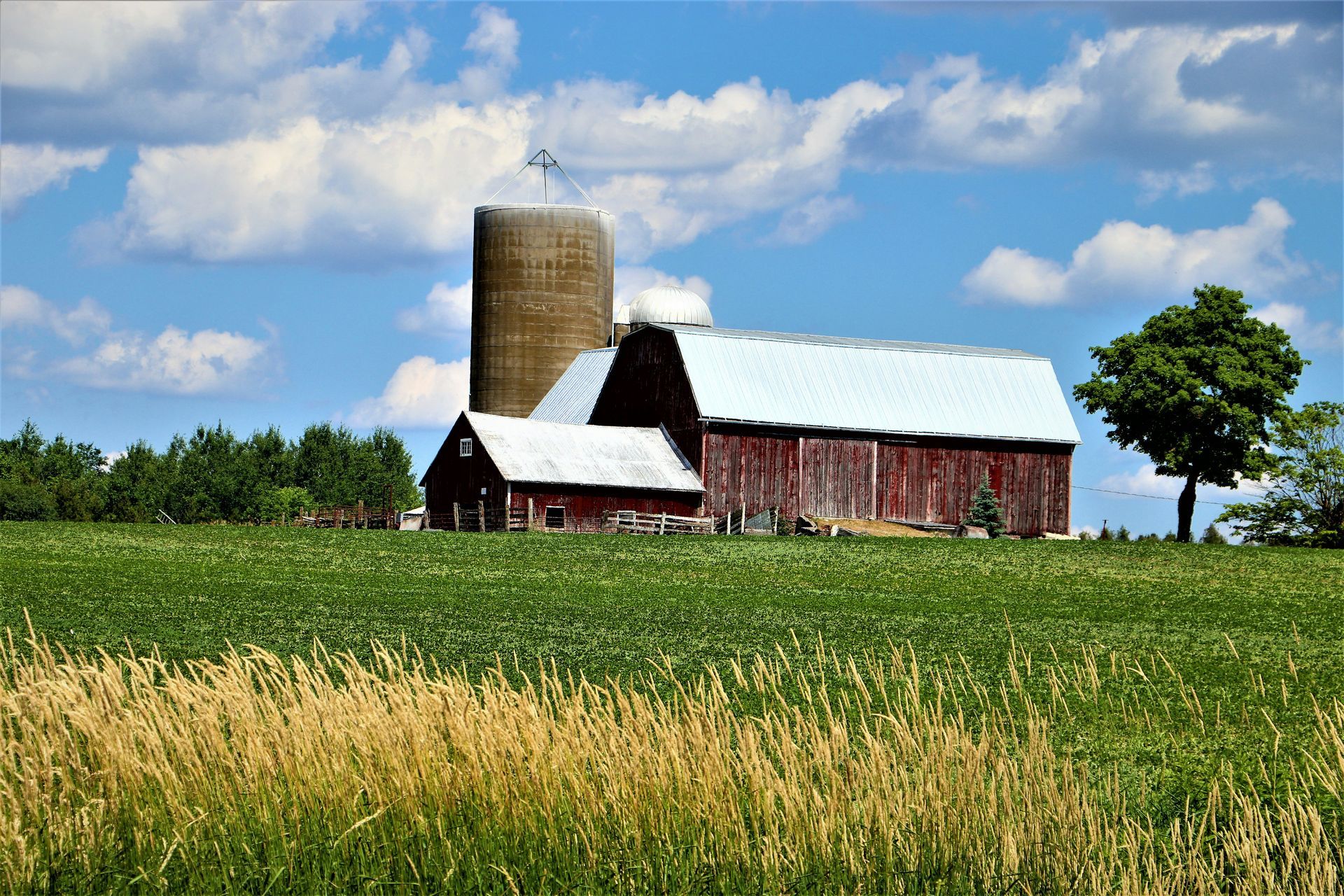 Red barn and silo on a grassy field under a blue sky with clouds. A tree stands to the right.