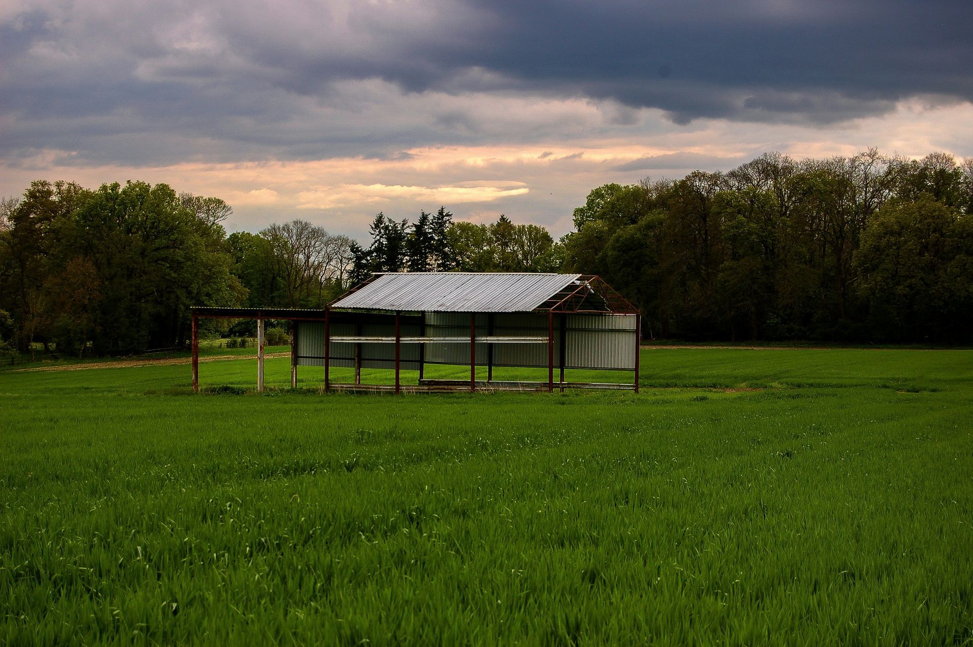 A weathered shed with a metal roof sits in a vibrant green field under a cloudy sky, surrounded by a wooden fence.