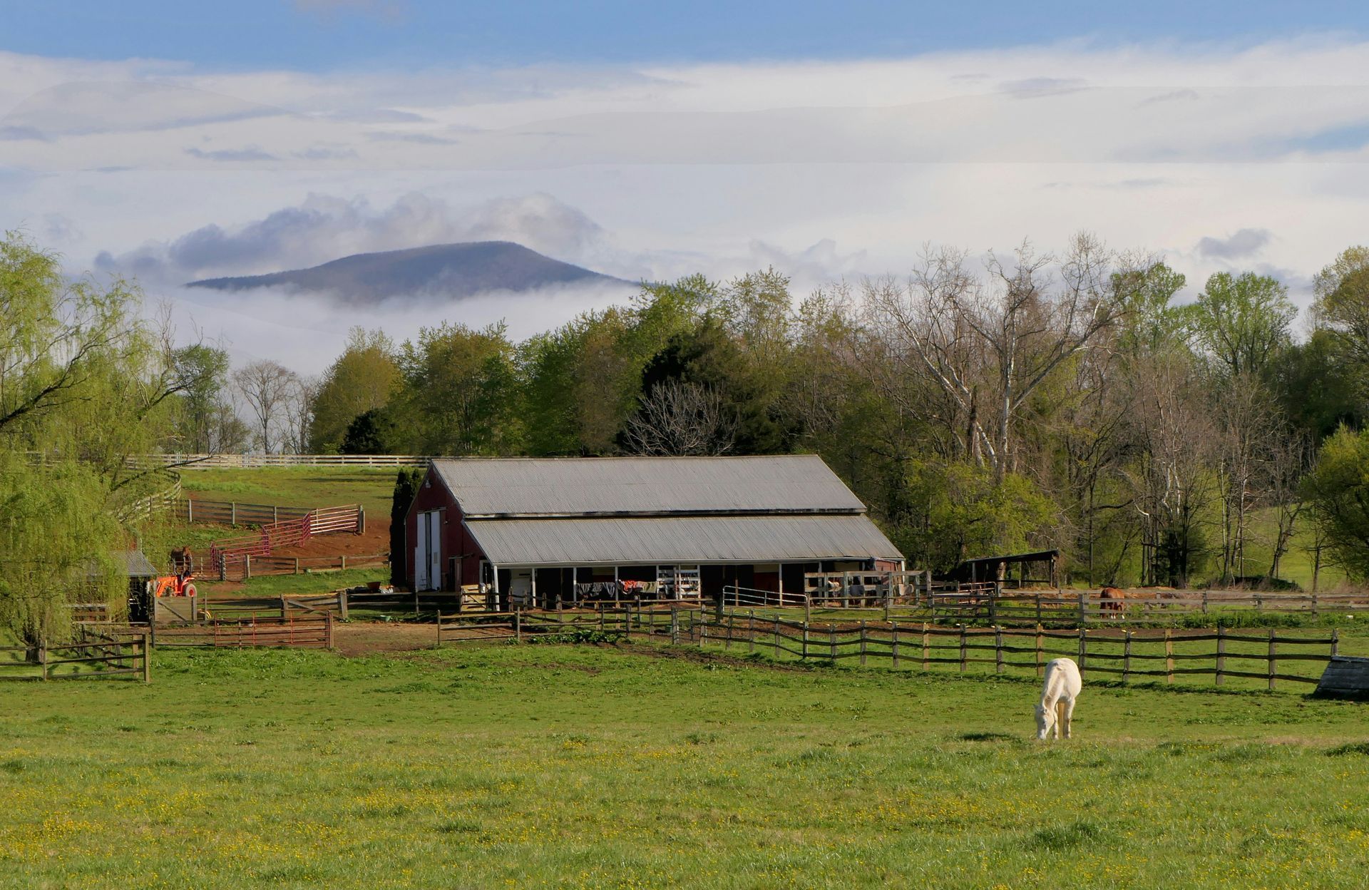 Barn and pasture with a white horse grazing.