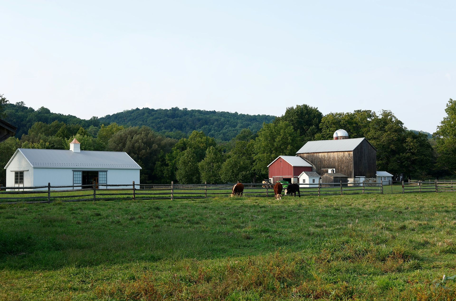 Farm scene with a white shed, red barn, and grazing animals in a green field, backed by trees and a small hill.