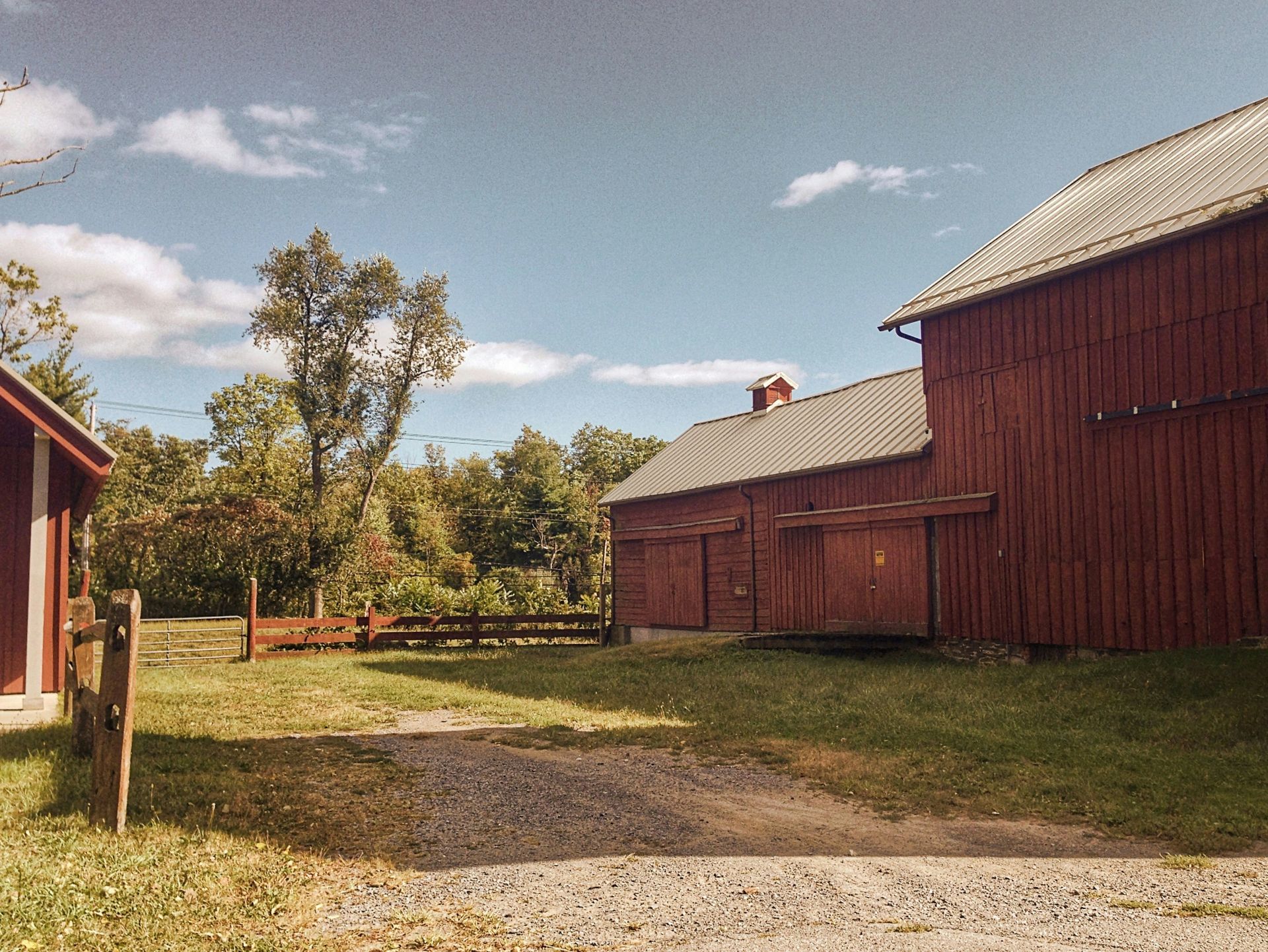 Red barn and smaller building sit on a grassy lot on a sunny day with a blue sky and trees in the background.