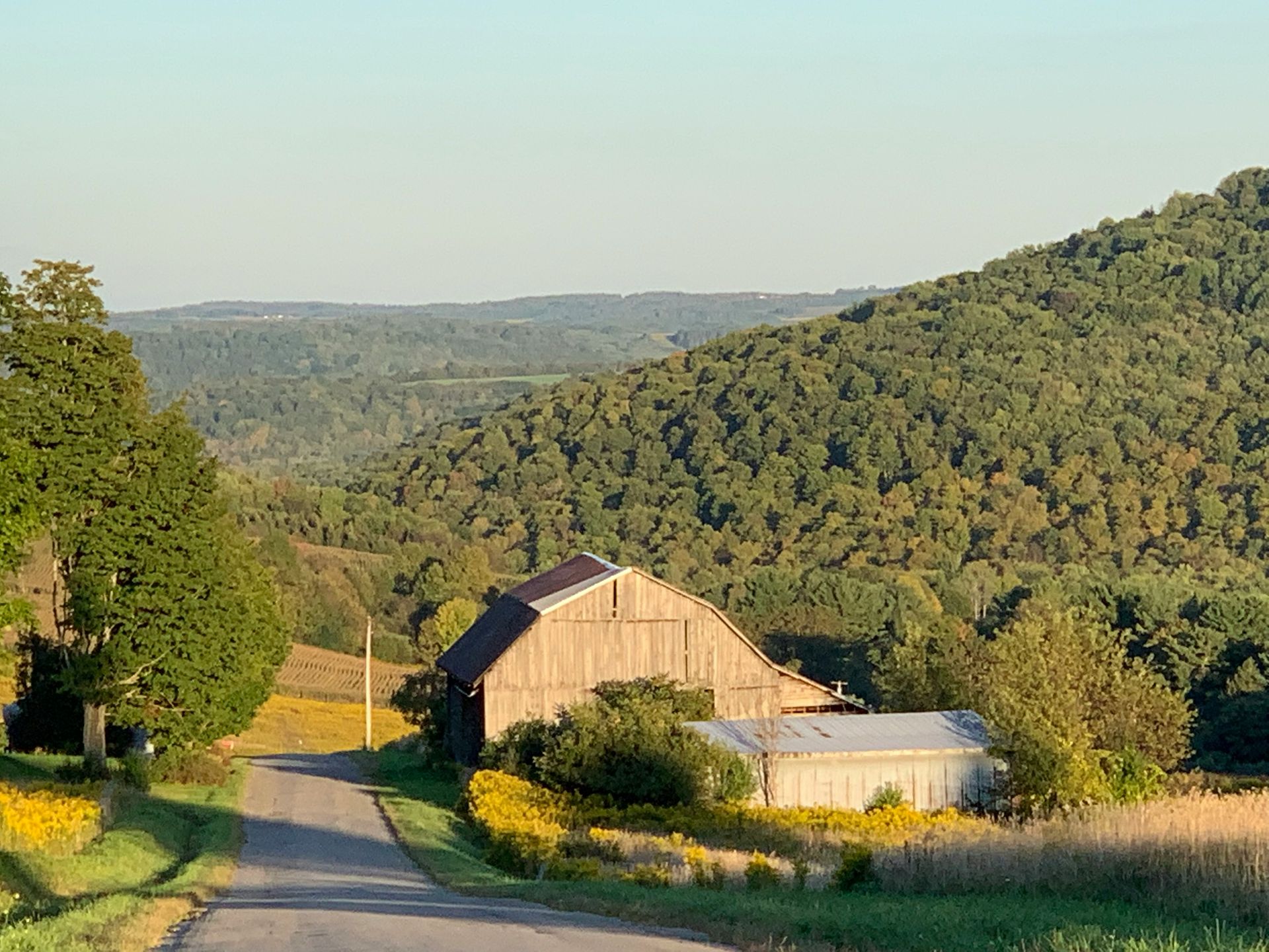 Old wooden barn and outbuilding on a rural road, surrounded by green fields, trees, and a forested hillside.