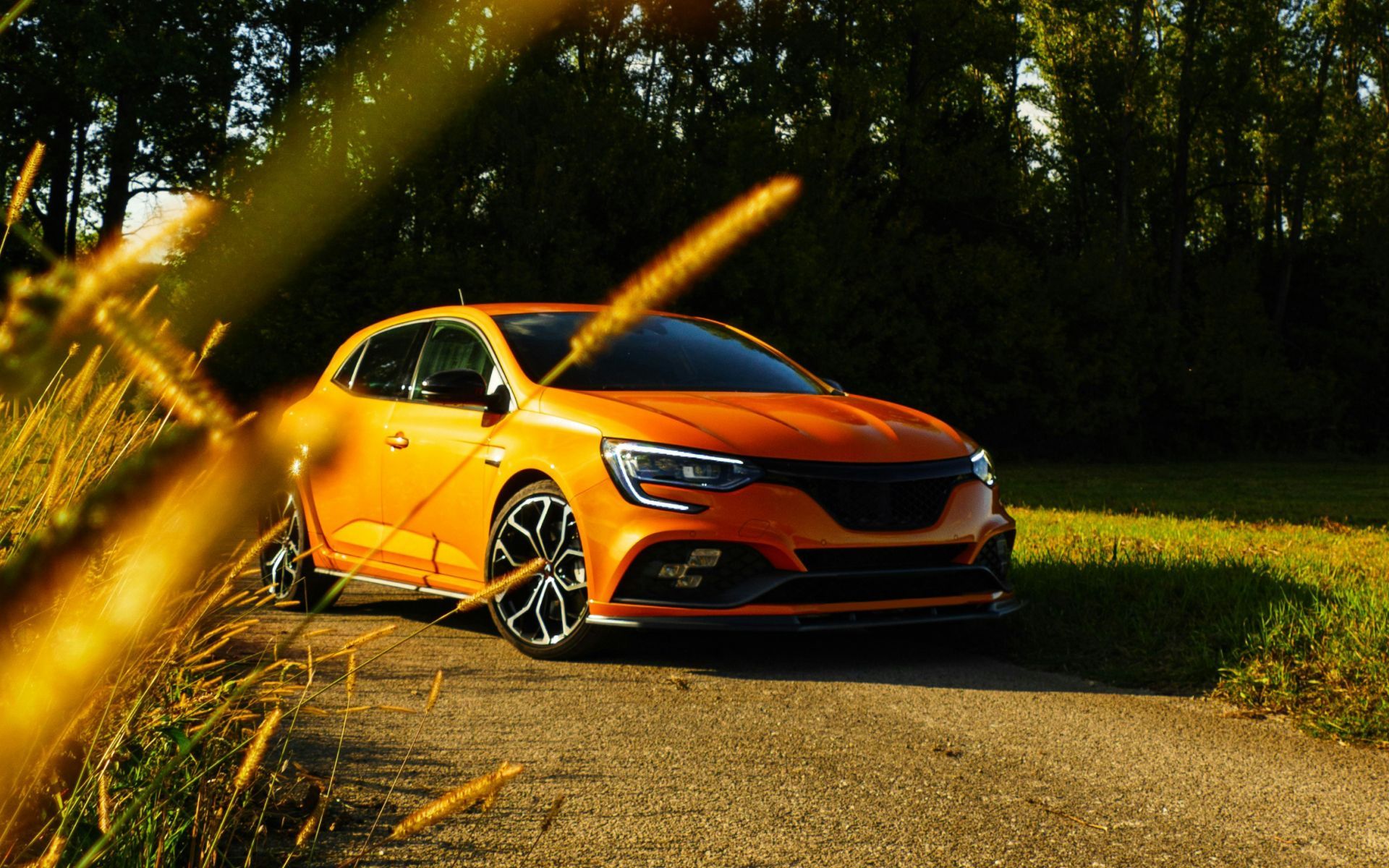 Renault Auto Repair - New Dimensions Automotive in Mesa, AZ