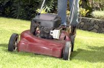 Edgeworth mowers 2024