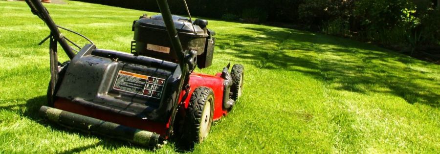 lawn mower service in Glendale