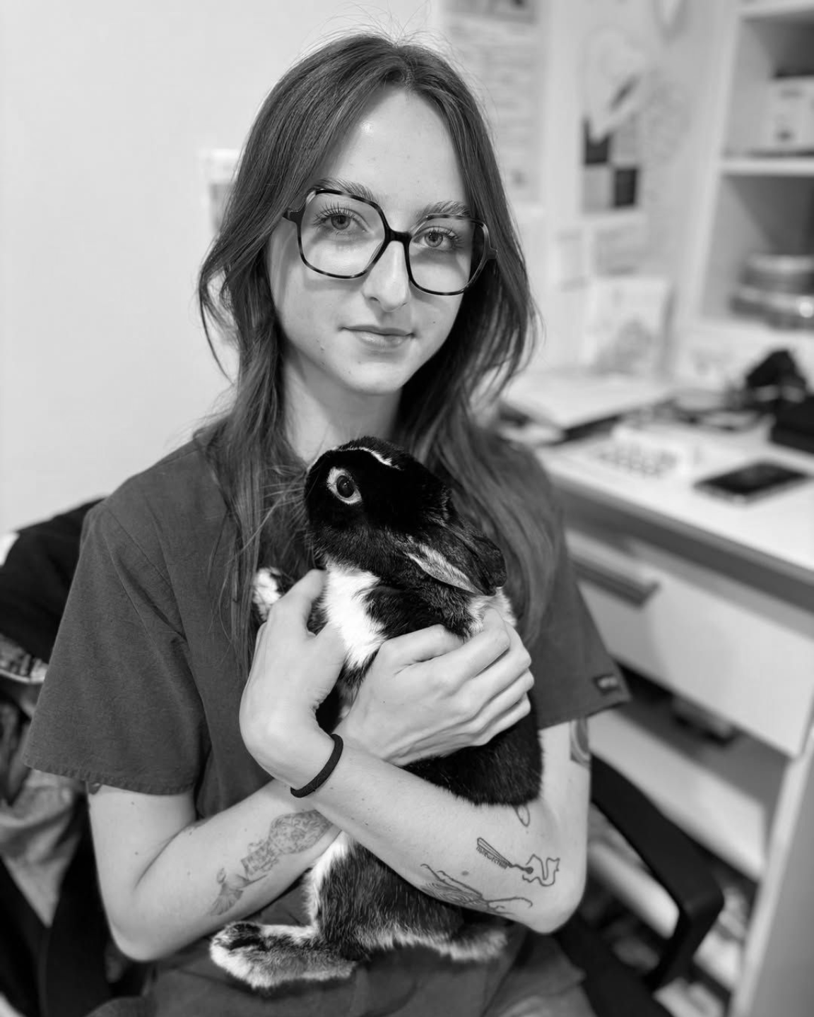 Docteur Vétérinaire Laura JAMAIN