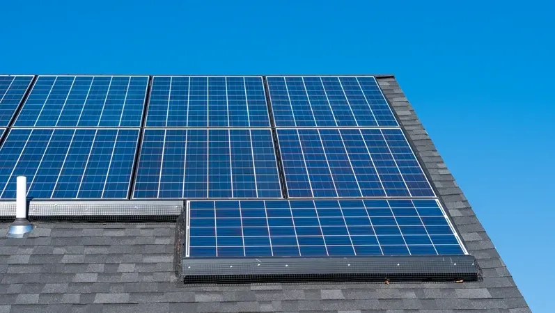 Tesla Solar Panels on Roof with Critter Guard