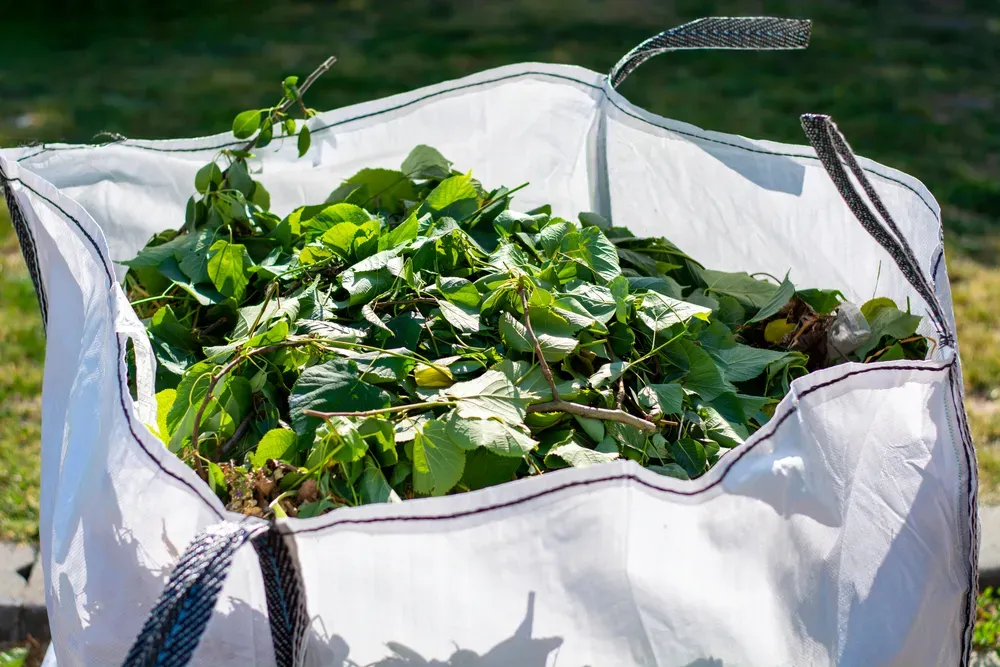 White yard waste bag filled with green leaves and branches on a grassy lawn. — Select Site Solutions in Vincentia, NSW