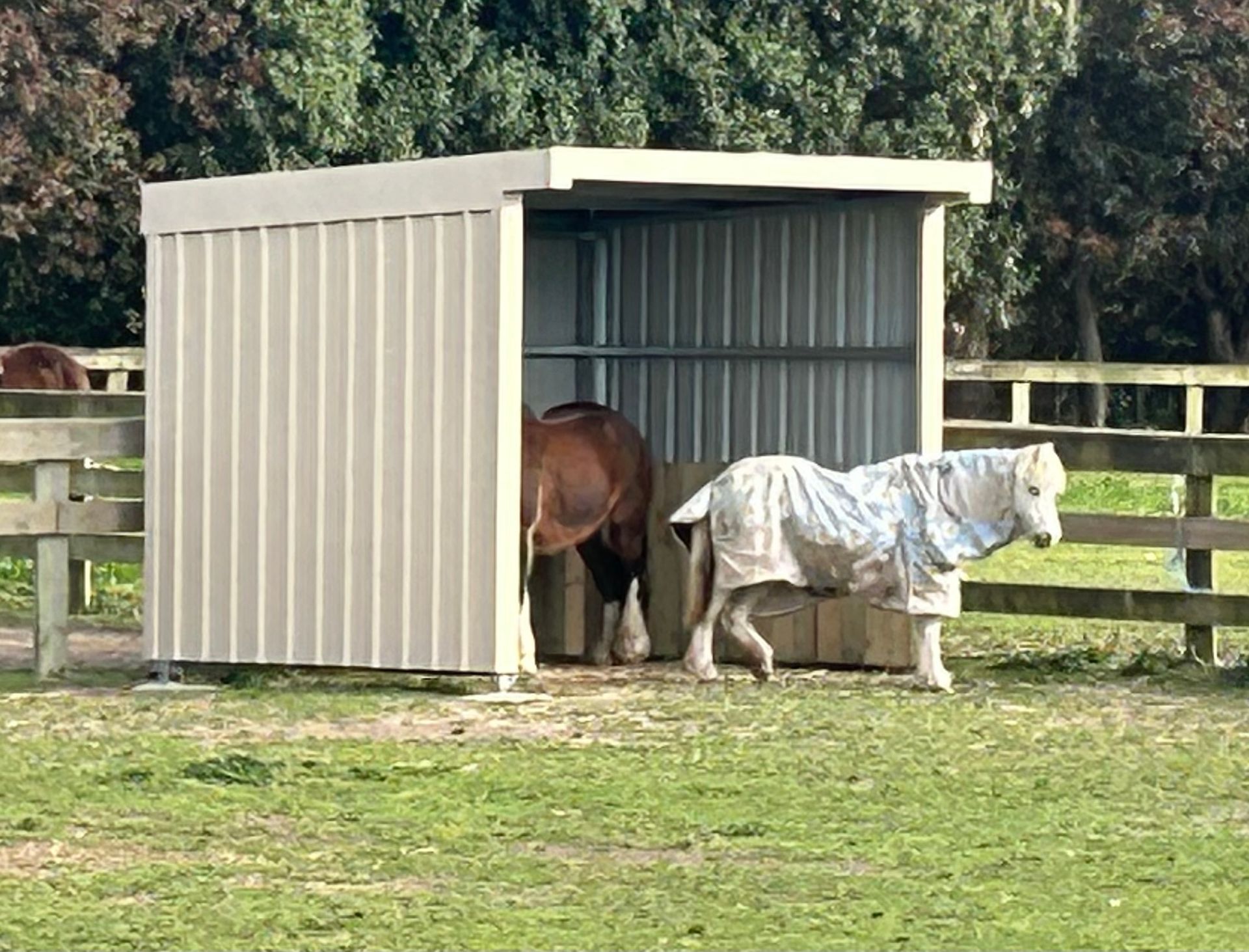 Two horses in a shelter: one brown, one white with a blanket. Beige metal shelter in a fenced pasture.