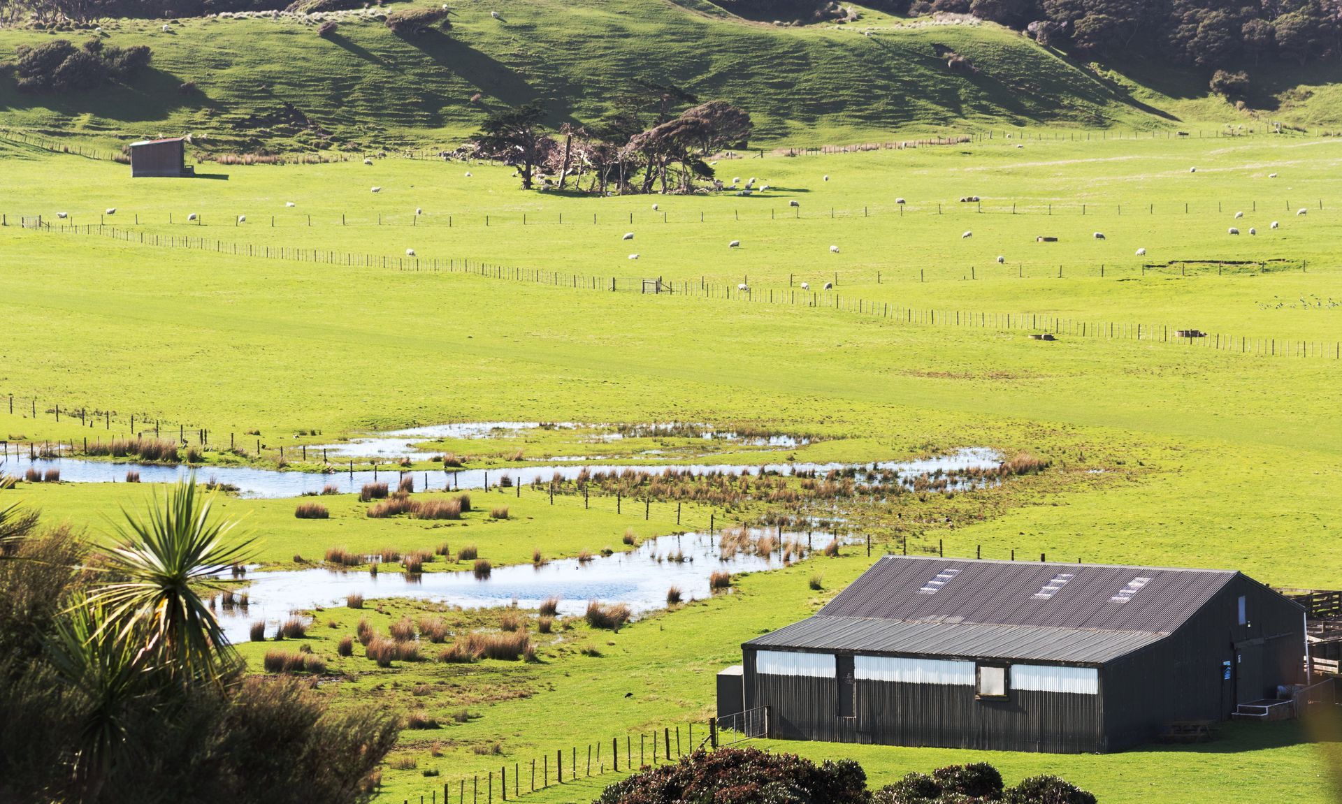Green field with a wetland and a gray barn. Rolling hills and a fence surround the area.