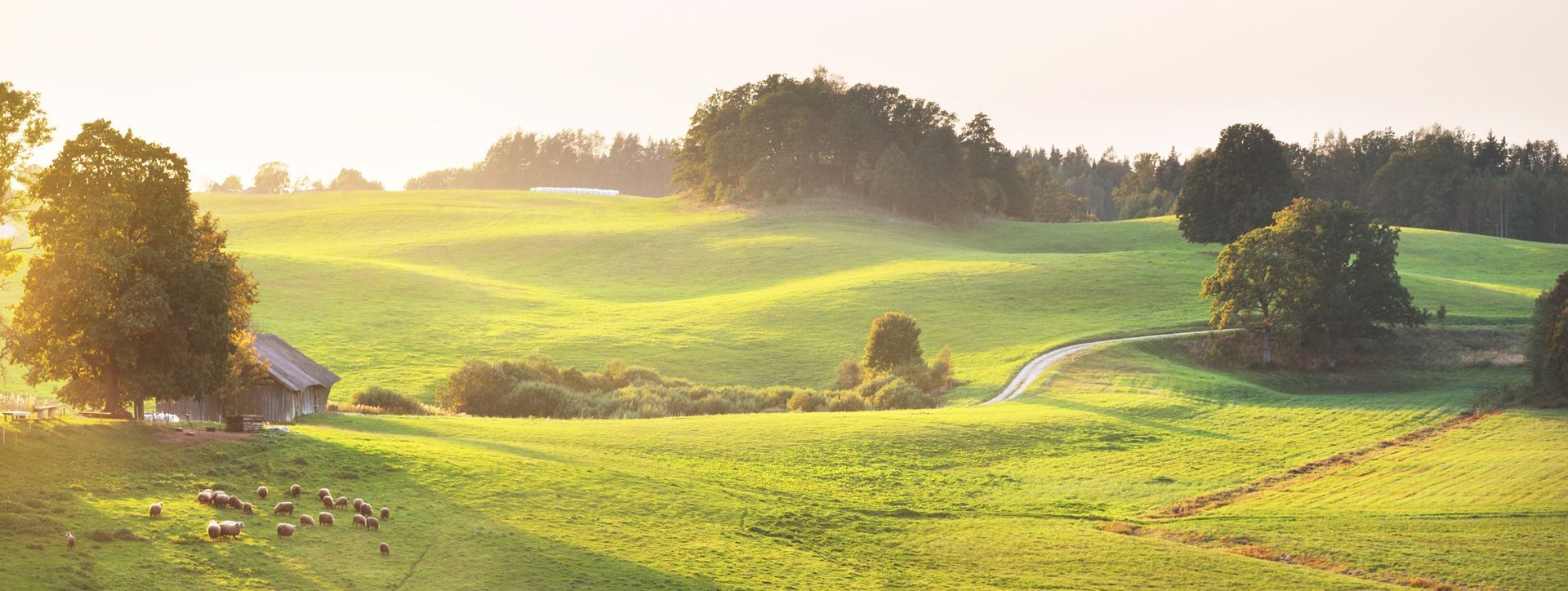 A sunlit green meadow with rolling hills, a winding path, trees, and a small building in the distance.
