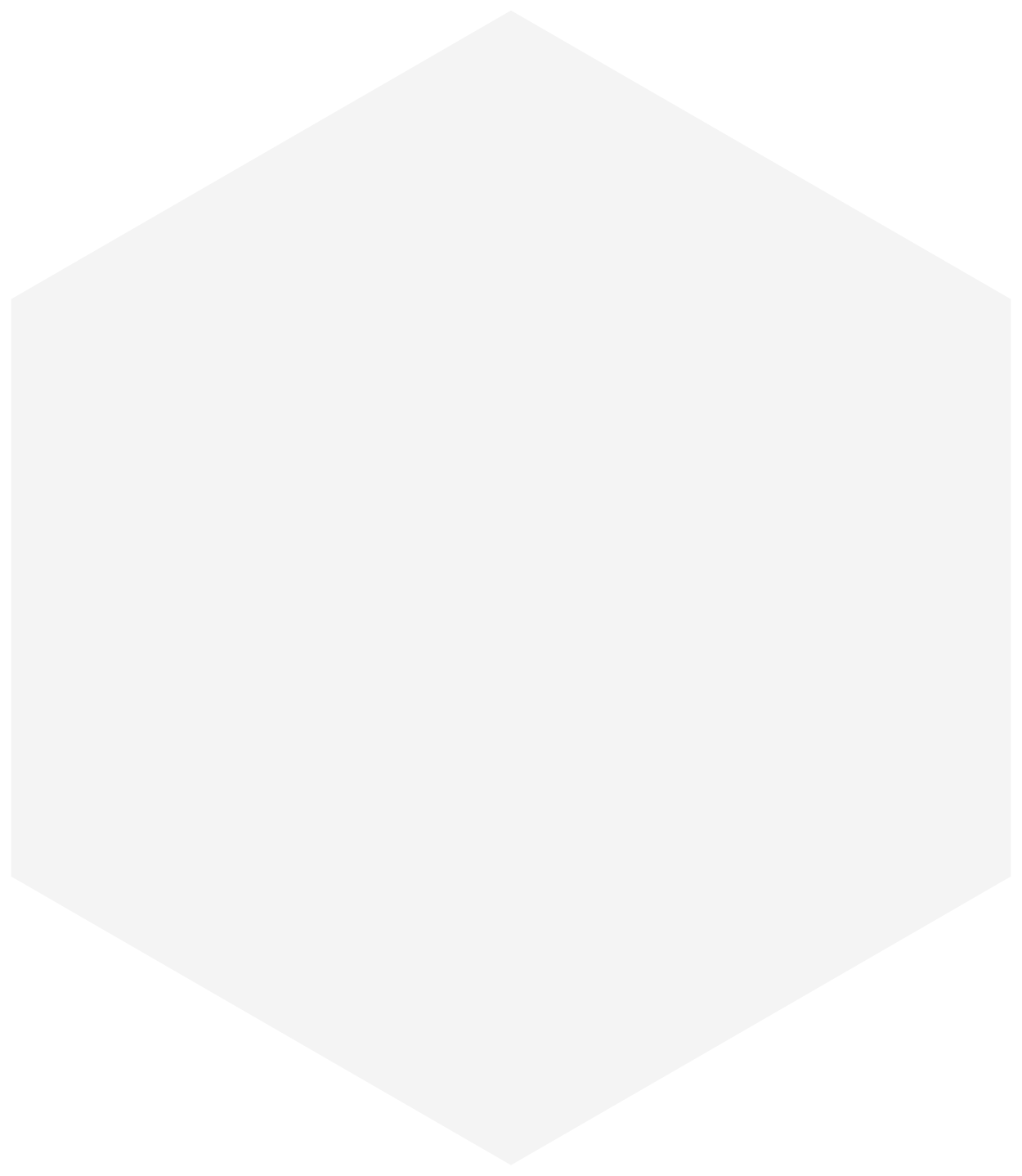 White hexagon shape.