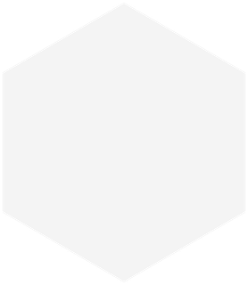 White hexagon shape.