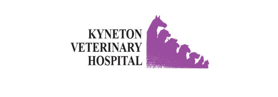 Kyneton Vet Hospital