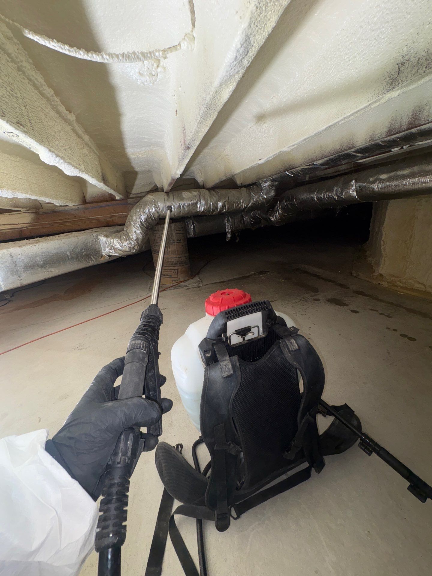 Enzyme spraying of mold at Hamptons home