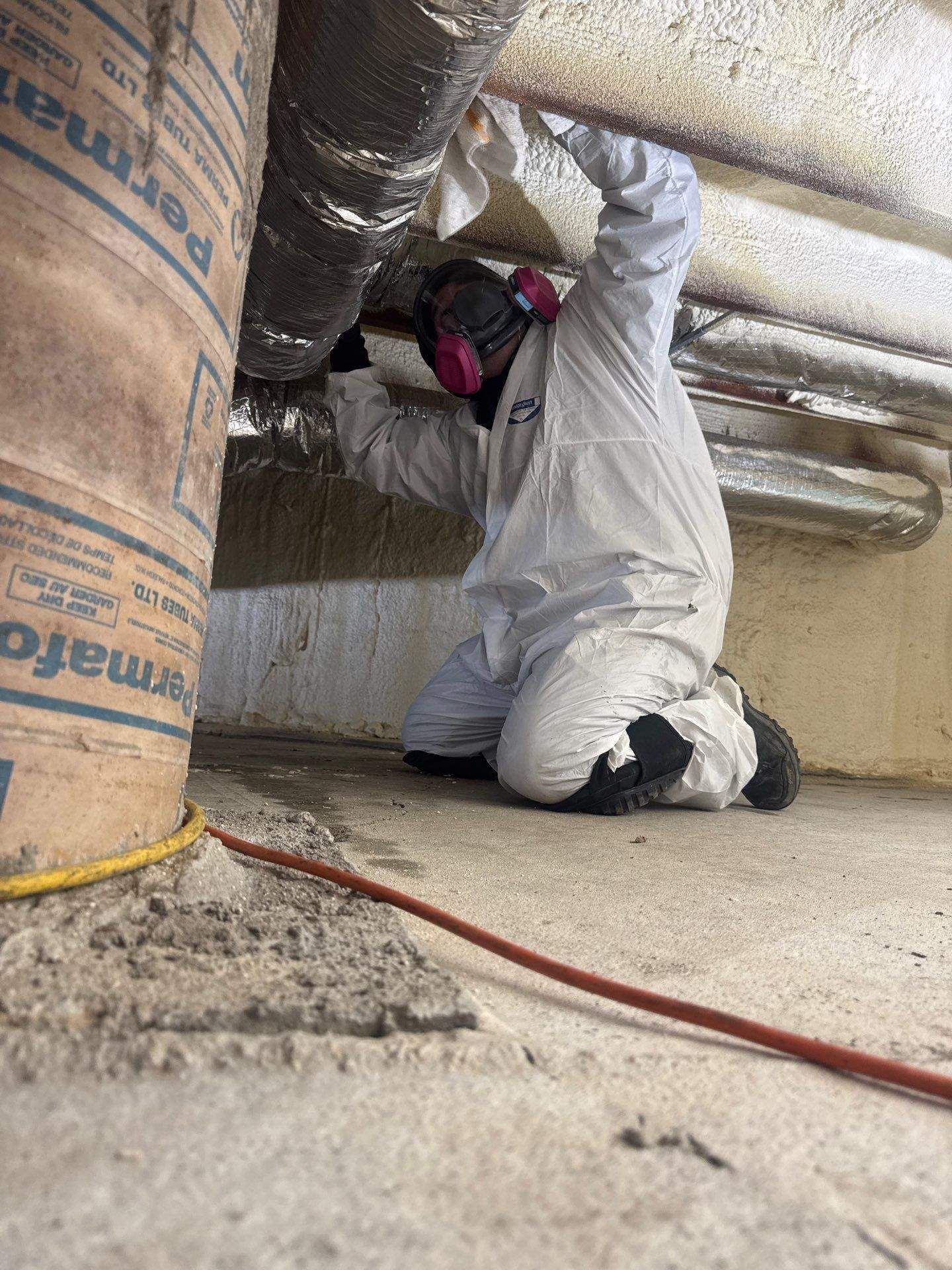 Mold removal in crawlspace at Hamptons home