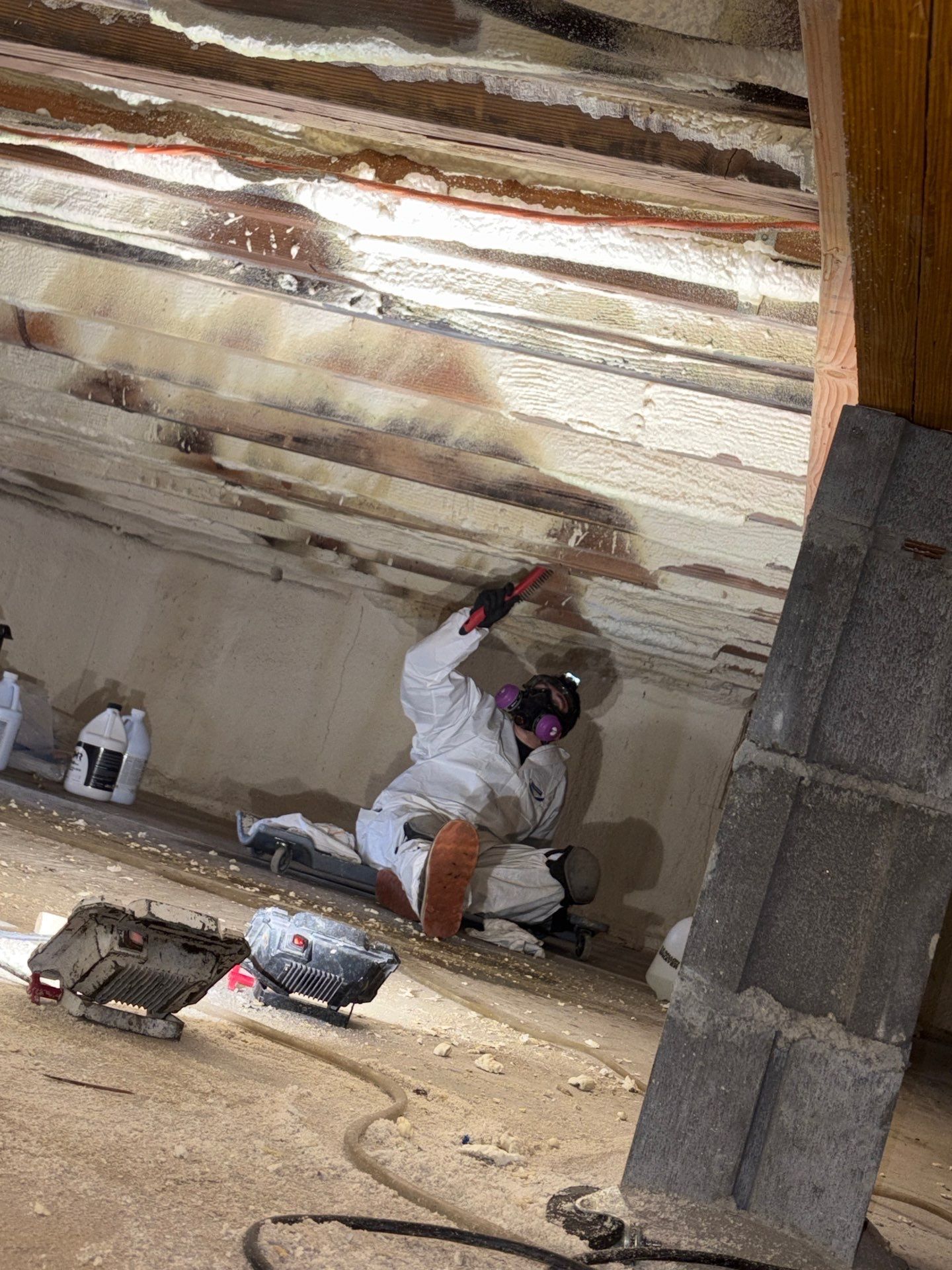 IICRC mold remediation and cleaning at Hamptons home