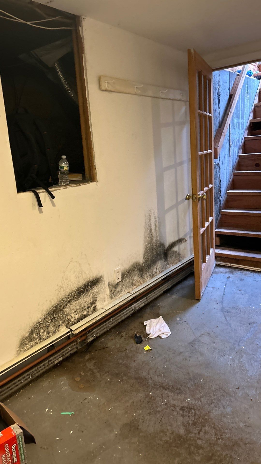 Black mold on wall of basement in Hampton Bays New York