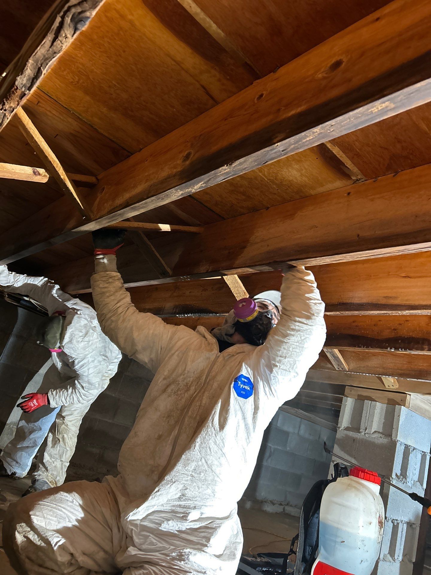Crawlspace mold remediation at a home in Suffolk County Long Island, New York. 