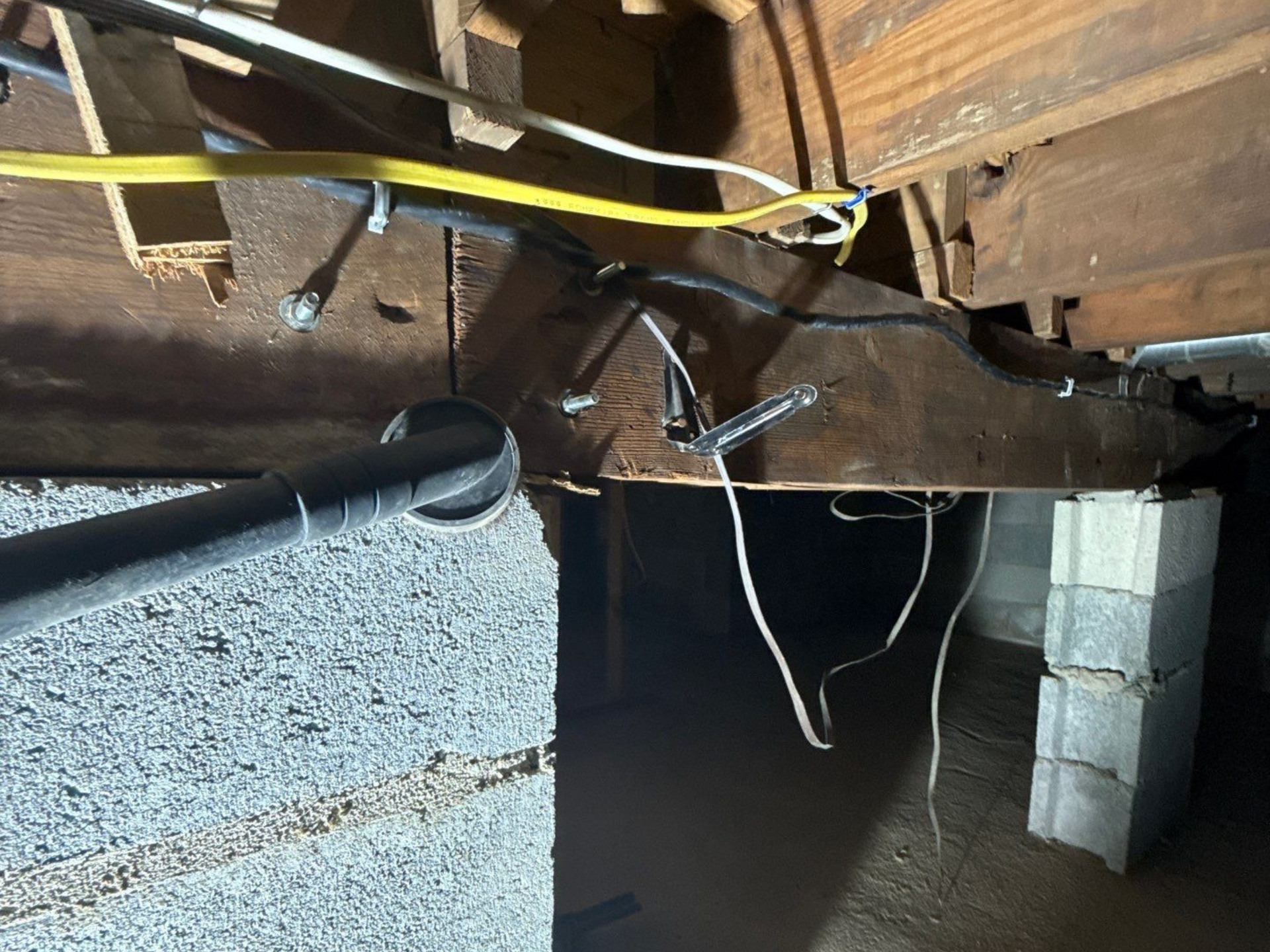 Mold on floor joists in crawlspace 
