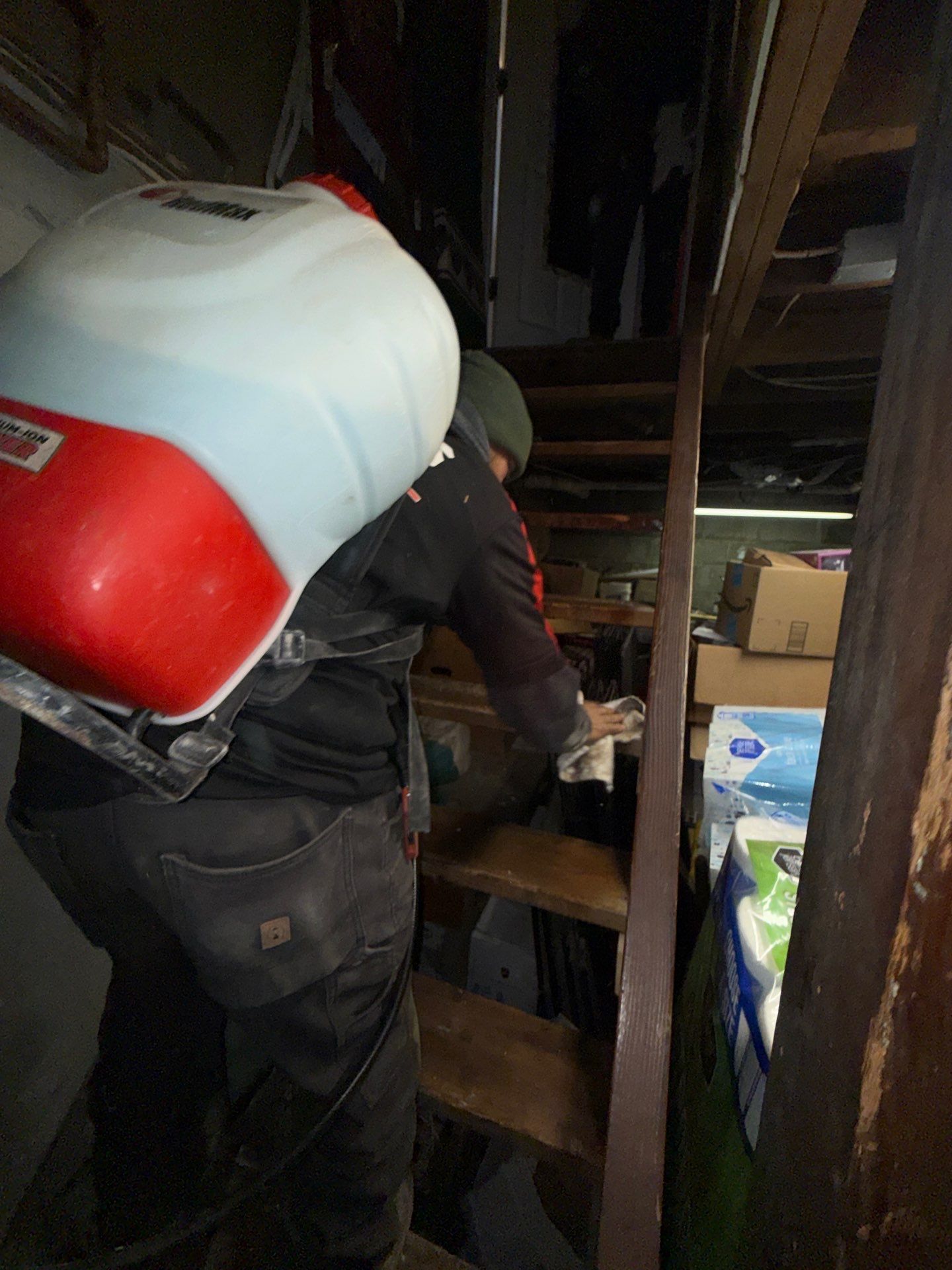 Enzyme spraying of mold at a home  in Patchogue NY