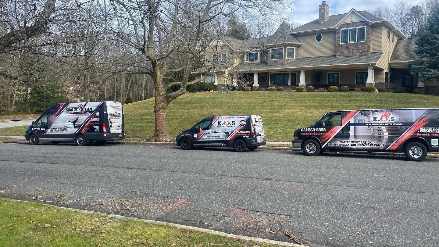 mold remediation Long Island - Insurance claim experts.