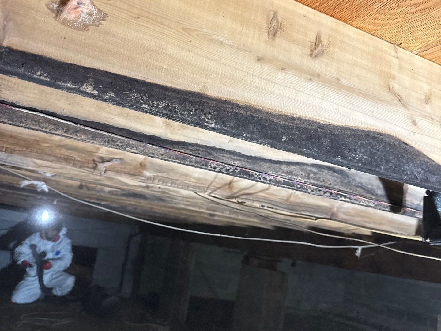 crawlspace mold at a home in Suffolk County, Long Island
