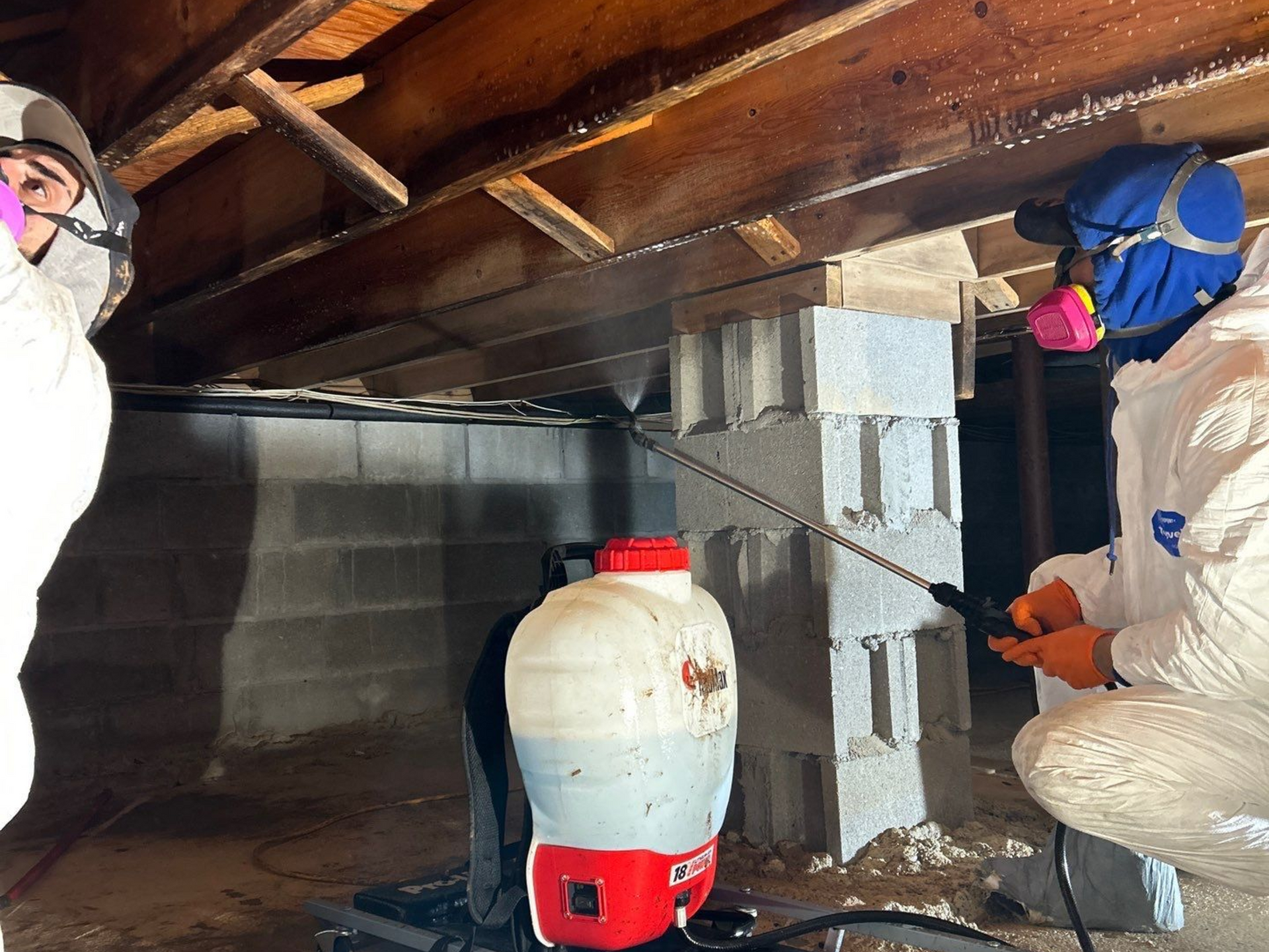 K.O.S. Restoration technicians applying an enzyme based solution to mold growth in a crawlspace on  