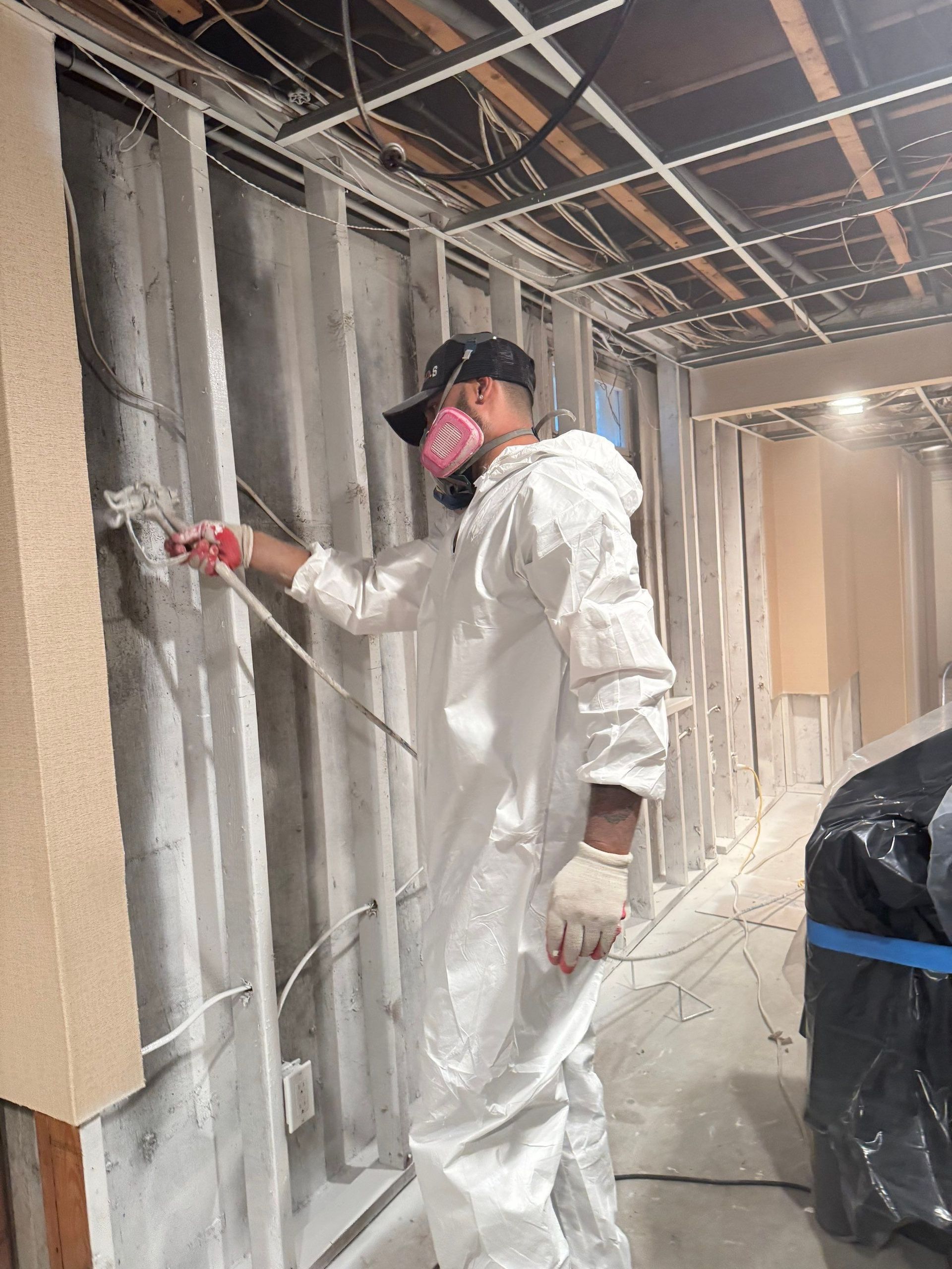 mold encapsulation Setauket NY