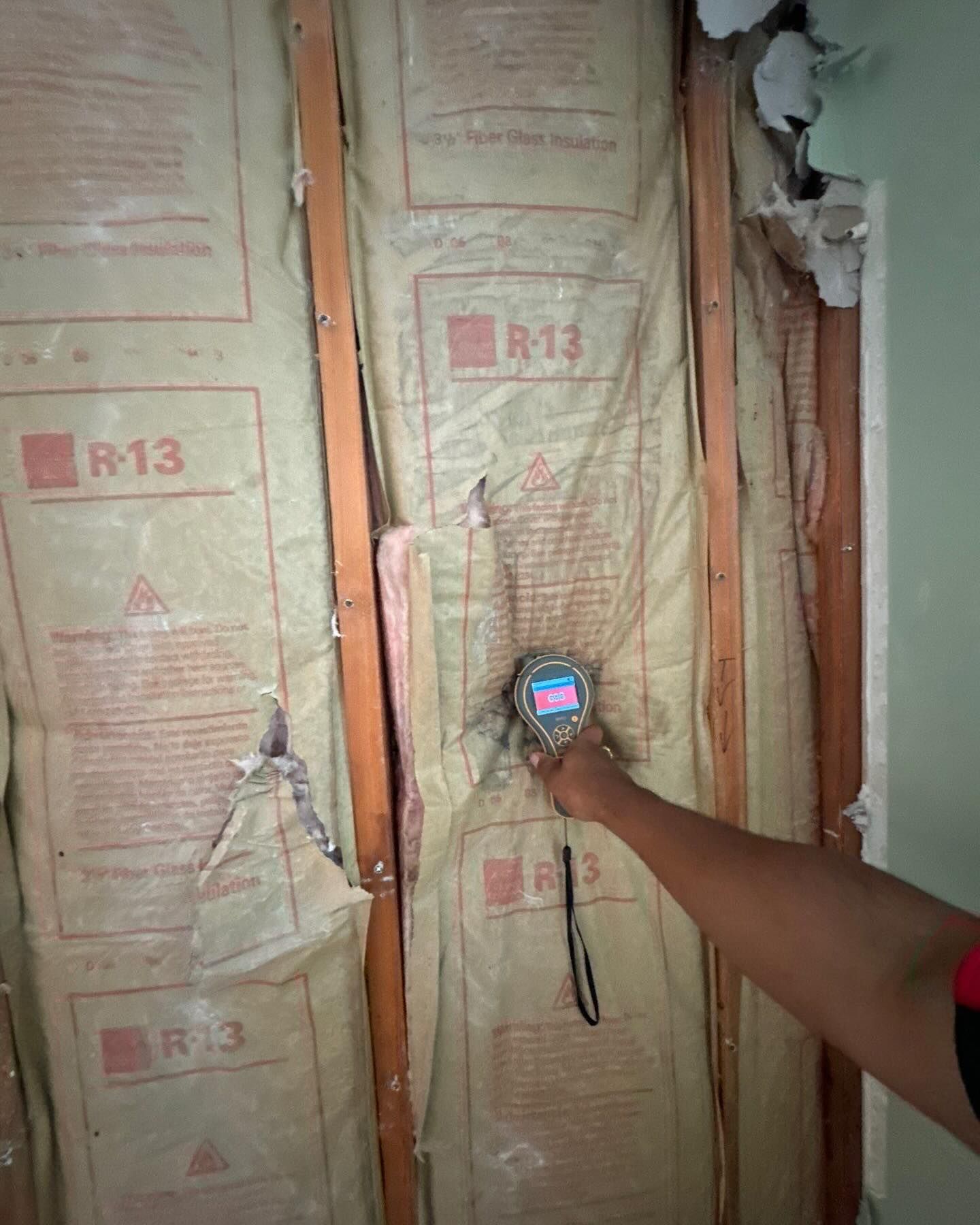 Mold removal moisture reading at home on Long Island