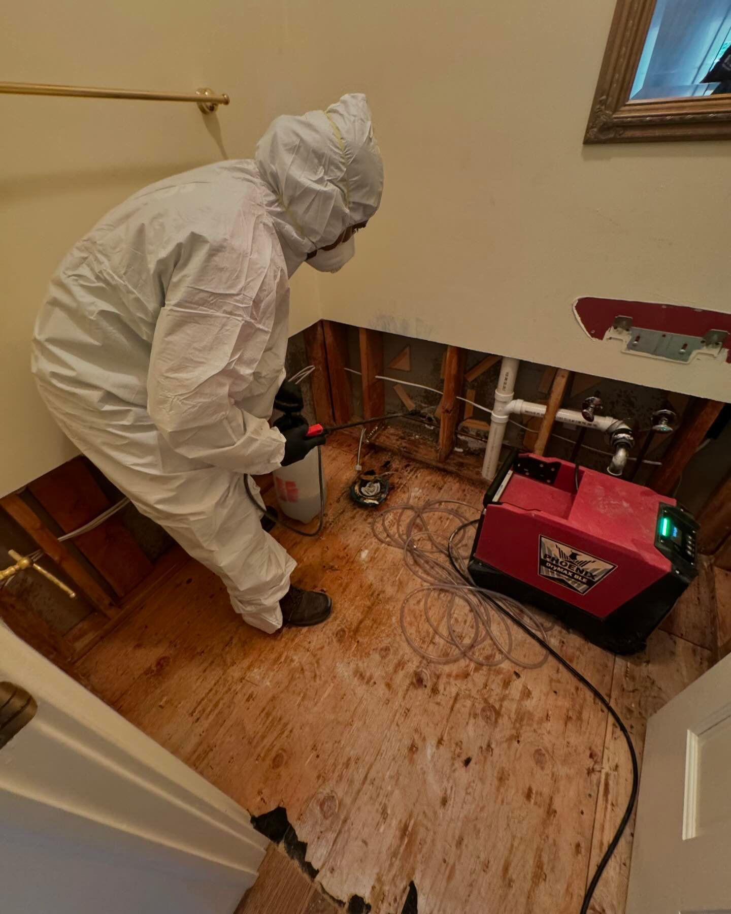 IICRC Certified Mold Remediation Services Long Island