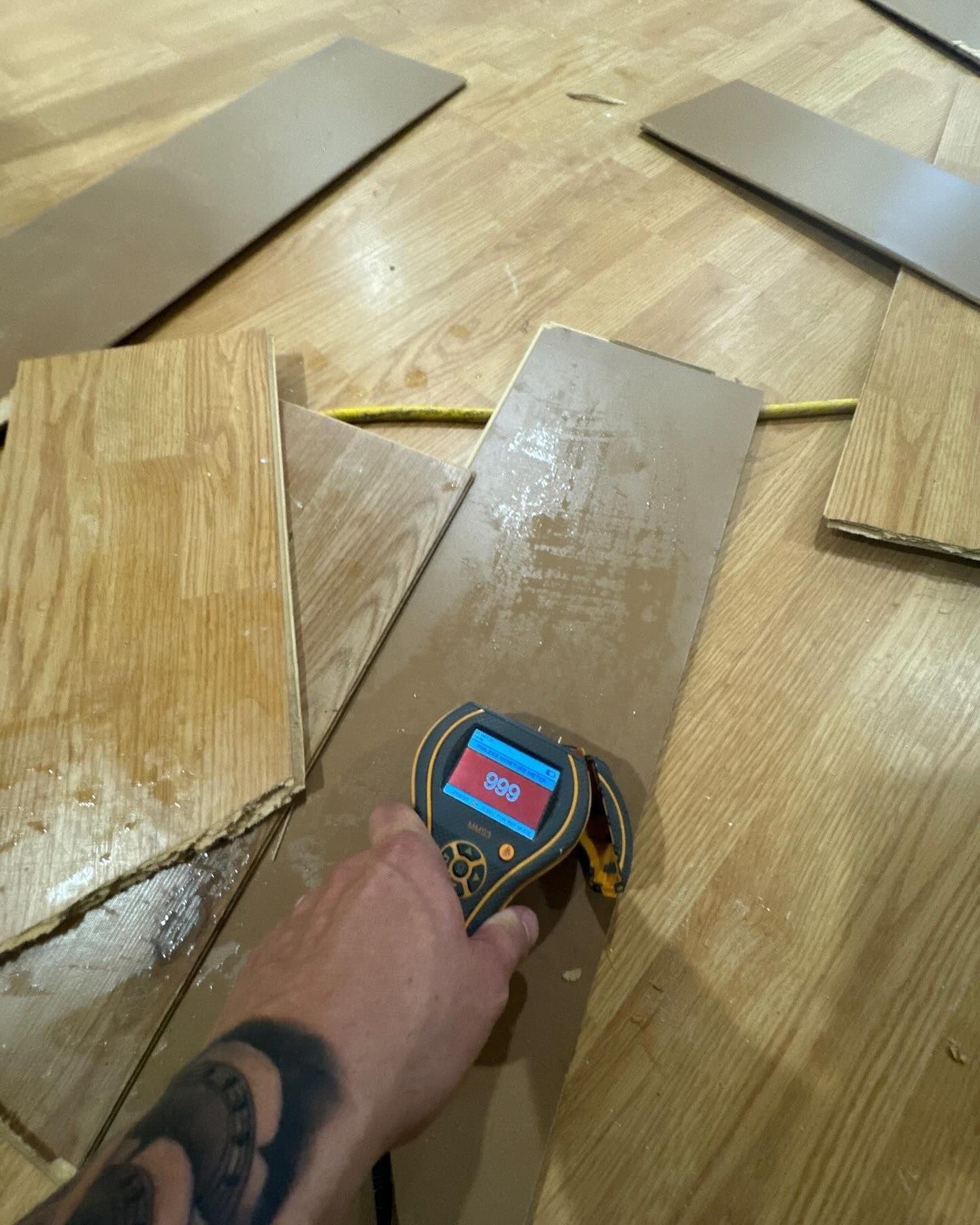 moisture testing during mold removal on Long Island