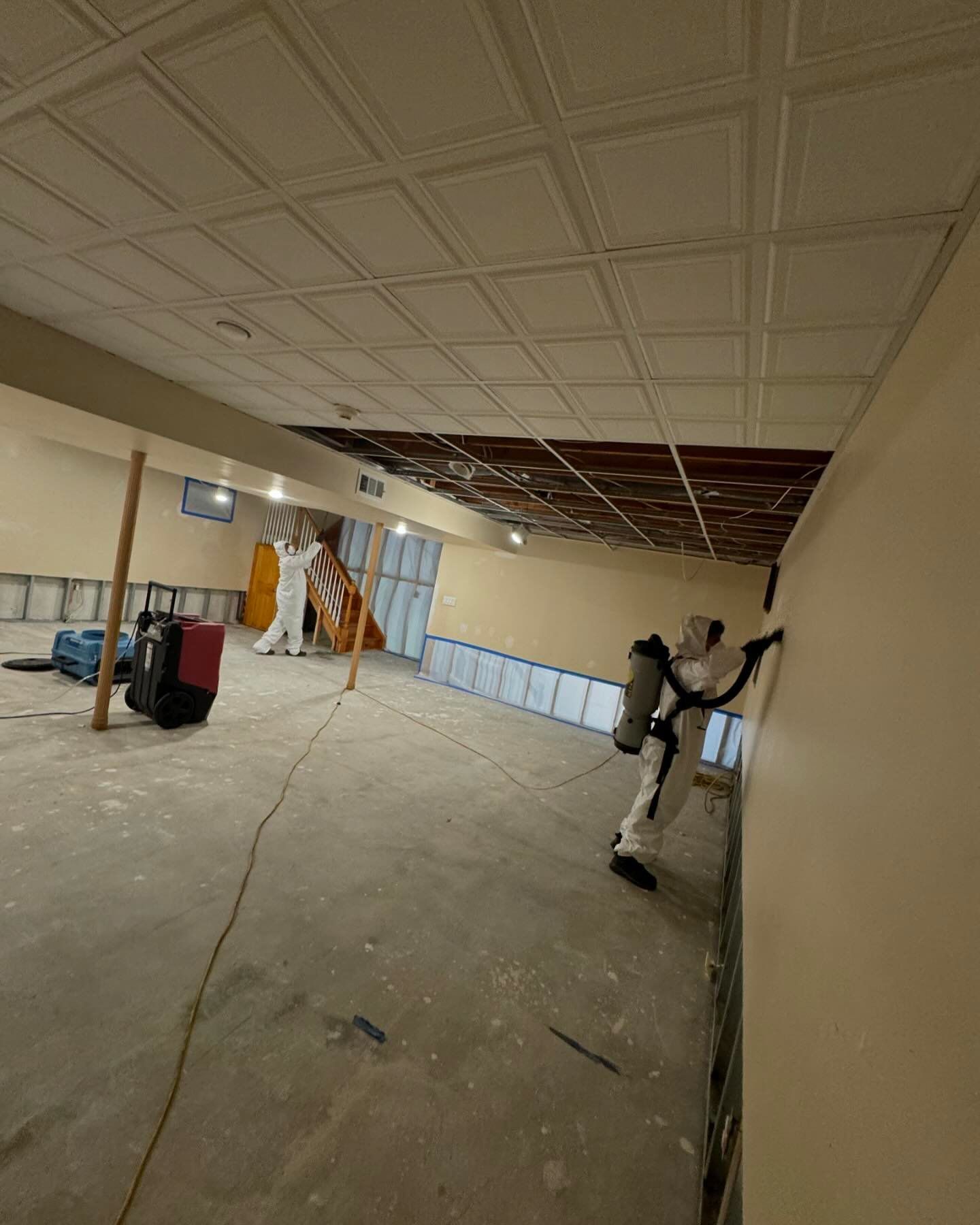 HEPA Mold Vacuuming and removal;