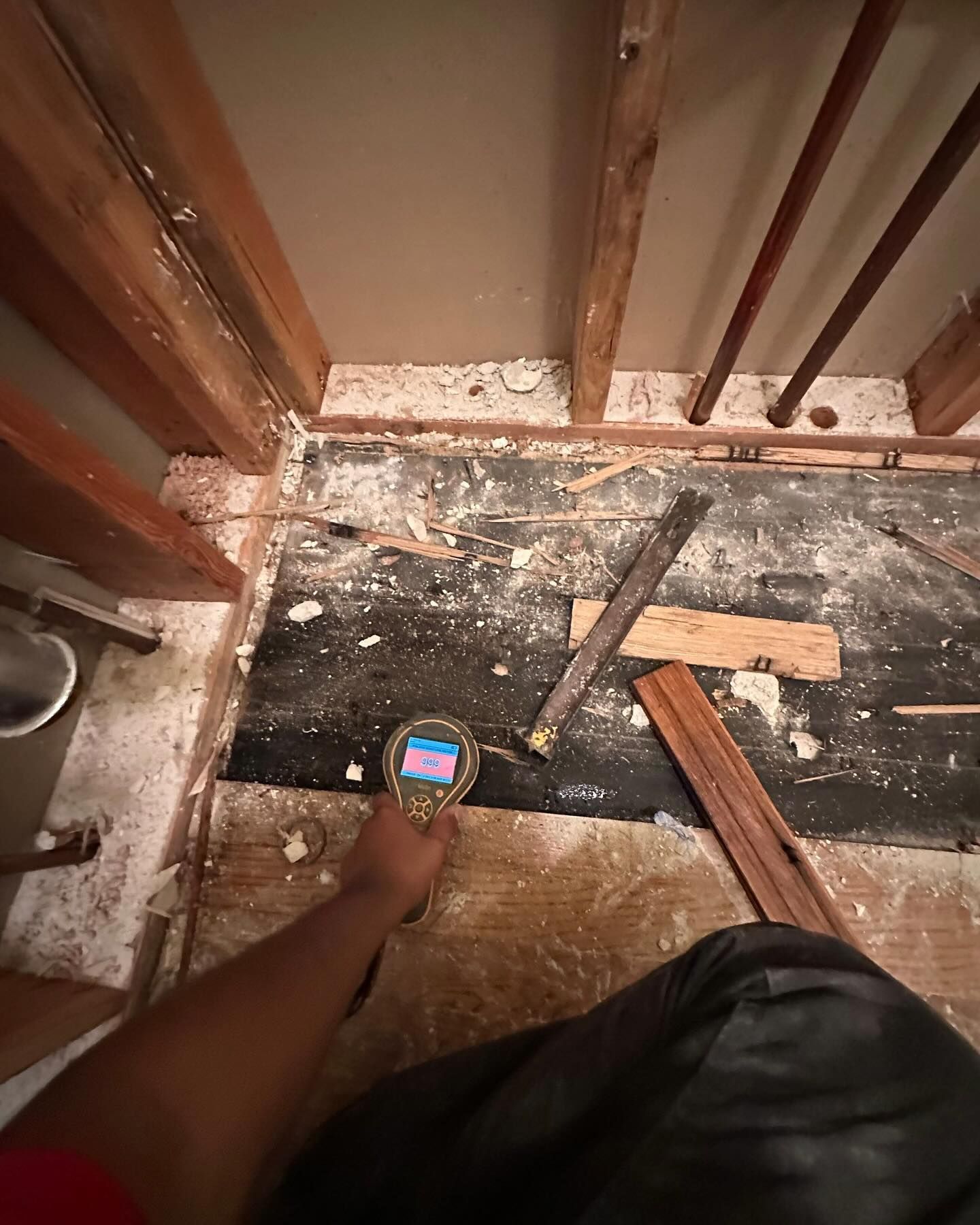 mold remediation Long Island