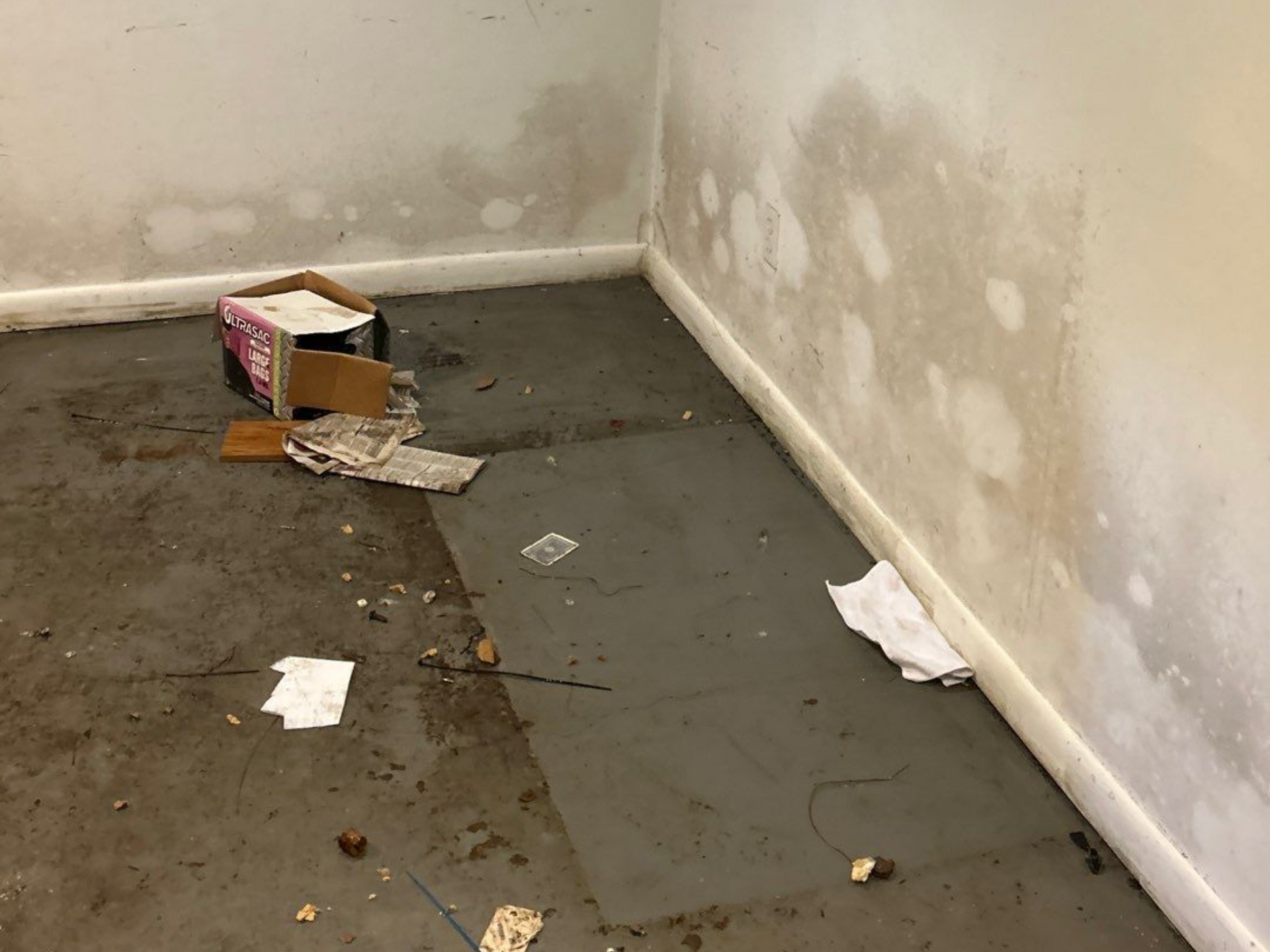 Flooded basement with mold growth at a home in Hampton Bays New York 