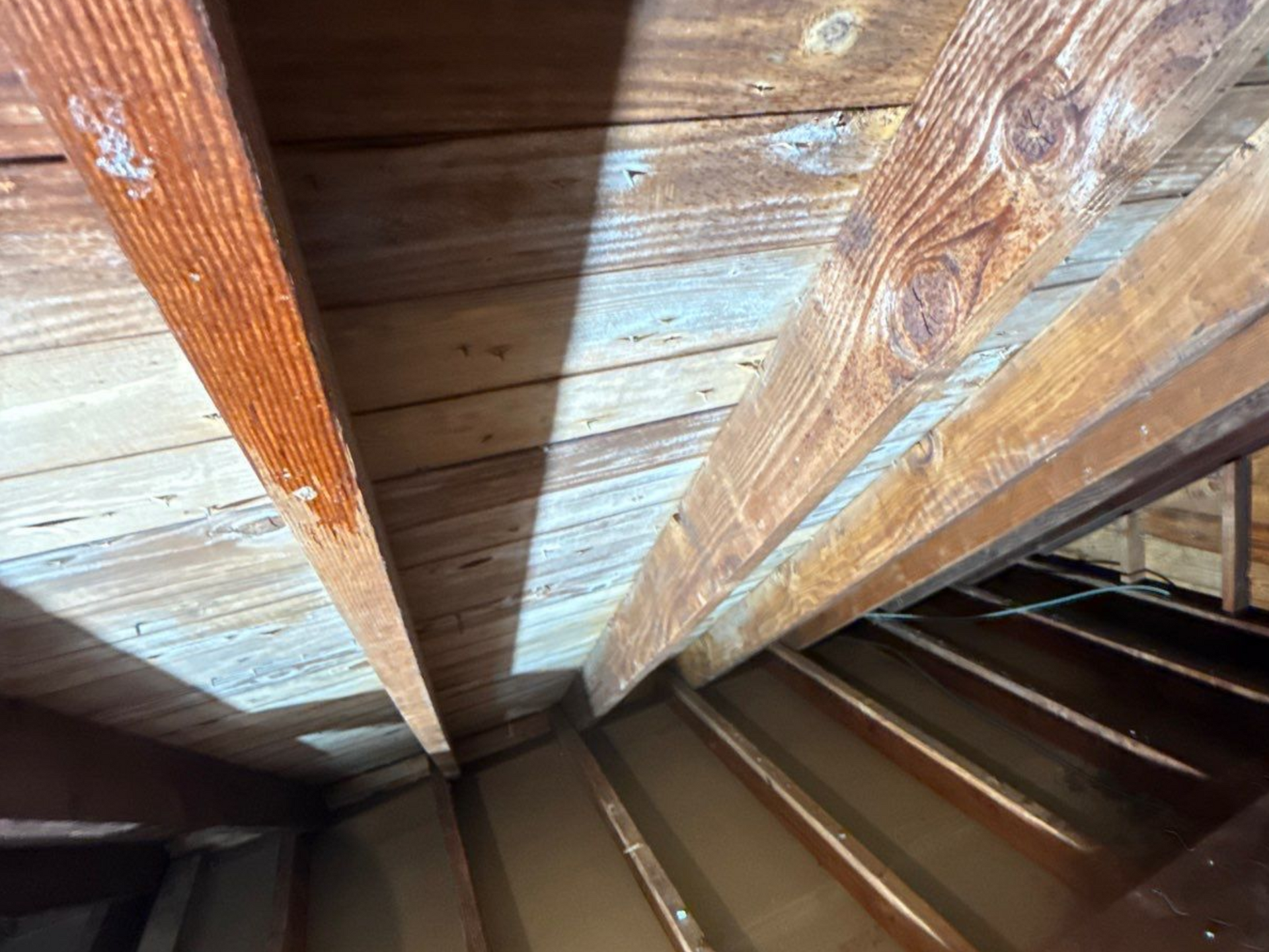 attic mold Locust Valley, New York - Mold Remediation by K.O.S. Restoration