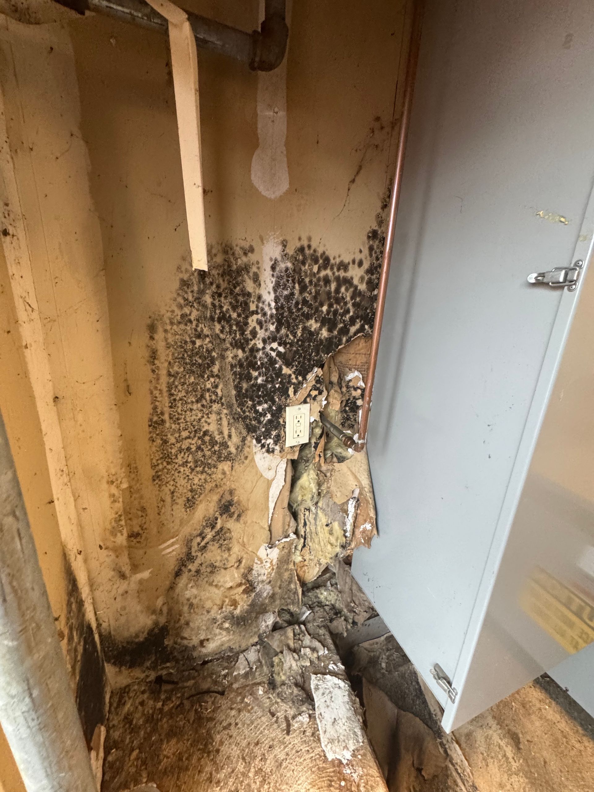 Summer mold caused from a leak getting mold remediation services on Long Island by K.O.S.