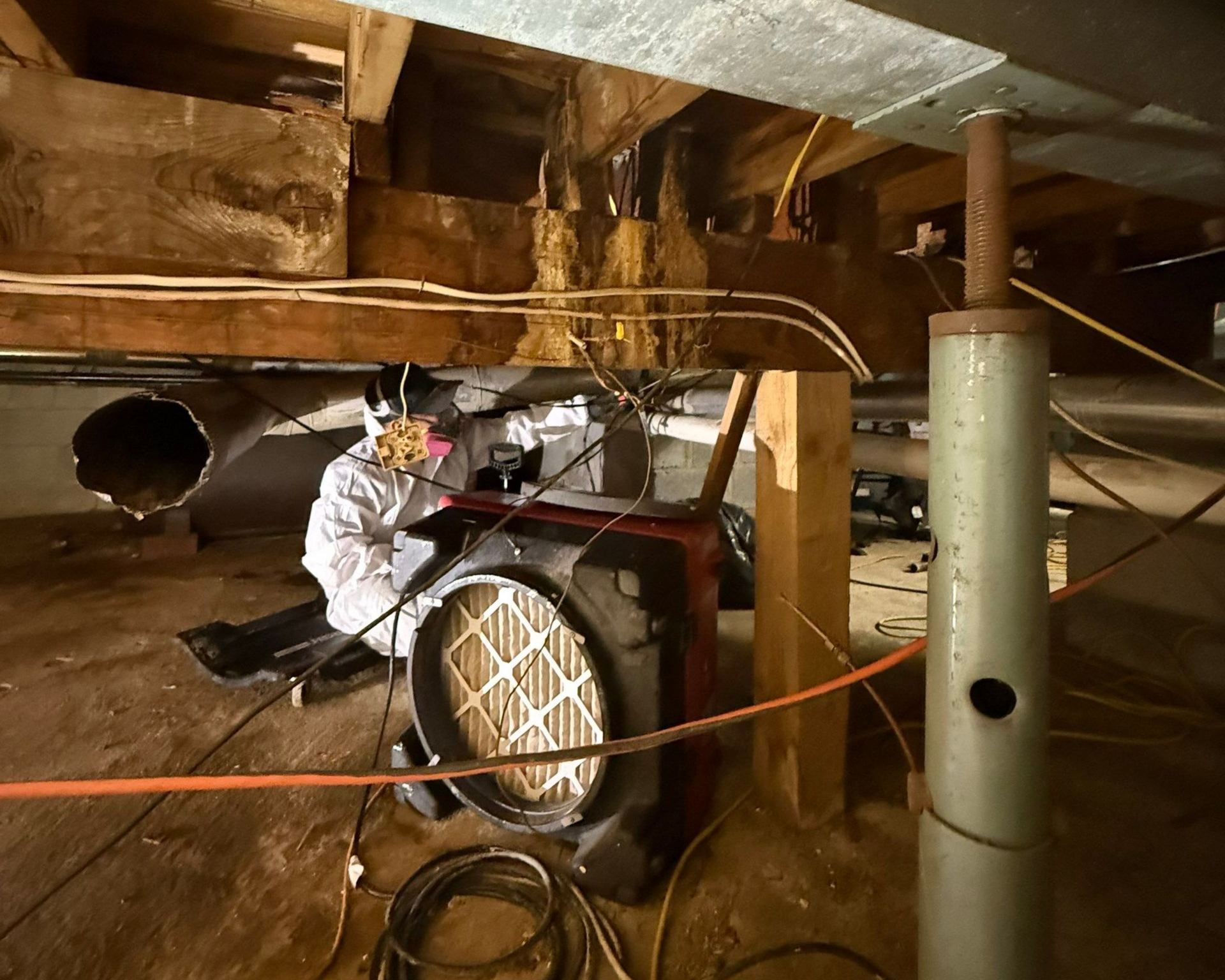 treating mold on a basement  floor of a Long Island home