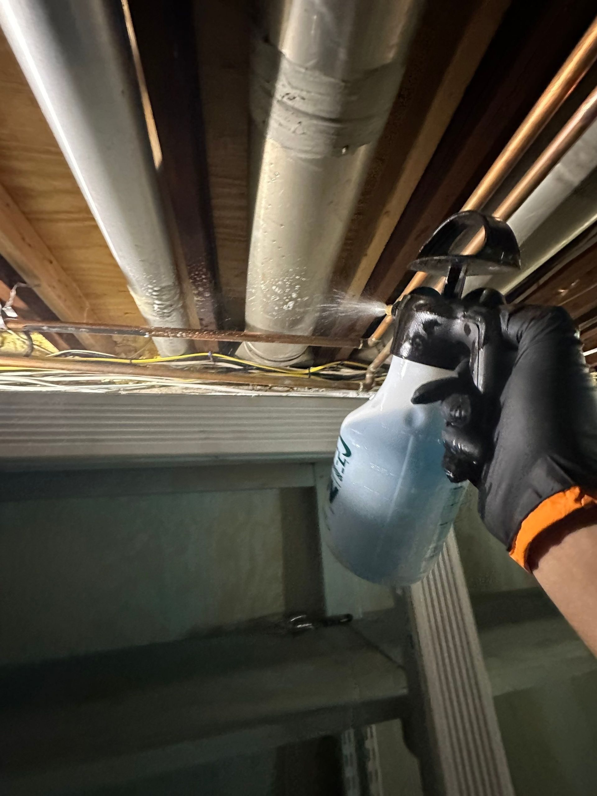 Enzyme mold spraying at a home in Melville New York 