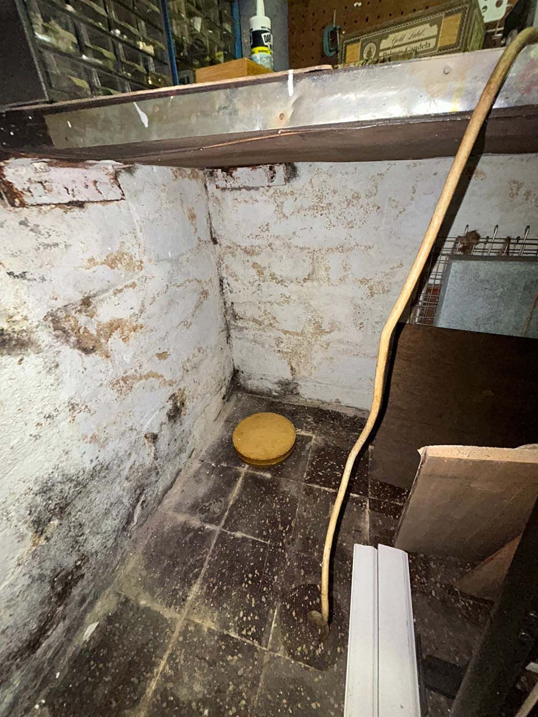 basement mold in home on Long Island - Mold Encapsulation by K.O.S. Restoration